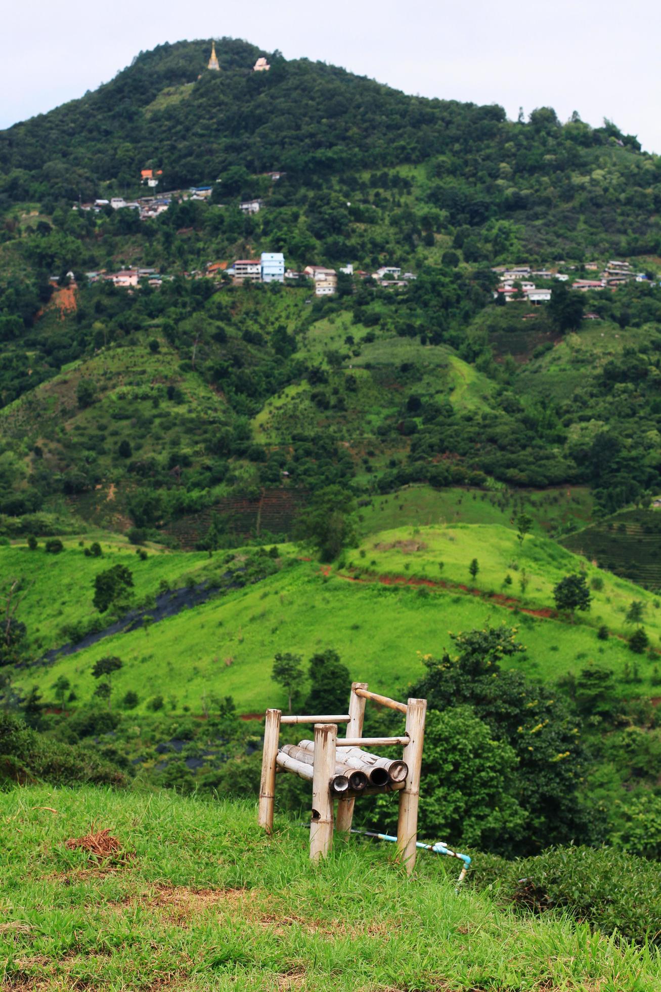 Bamboo chair on grass in Tea Plantation on the mountain and forest is very beautiful view in Chiangrai Province, Thailand. Stock Free