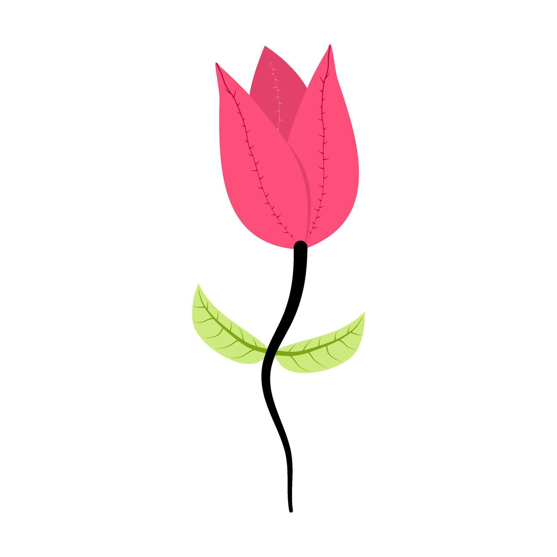 beautiful flower petal with detail for decoration background and your design Stock Free