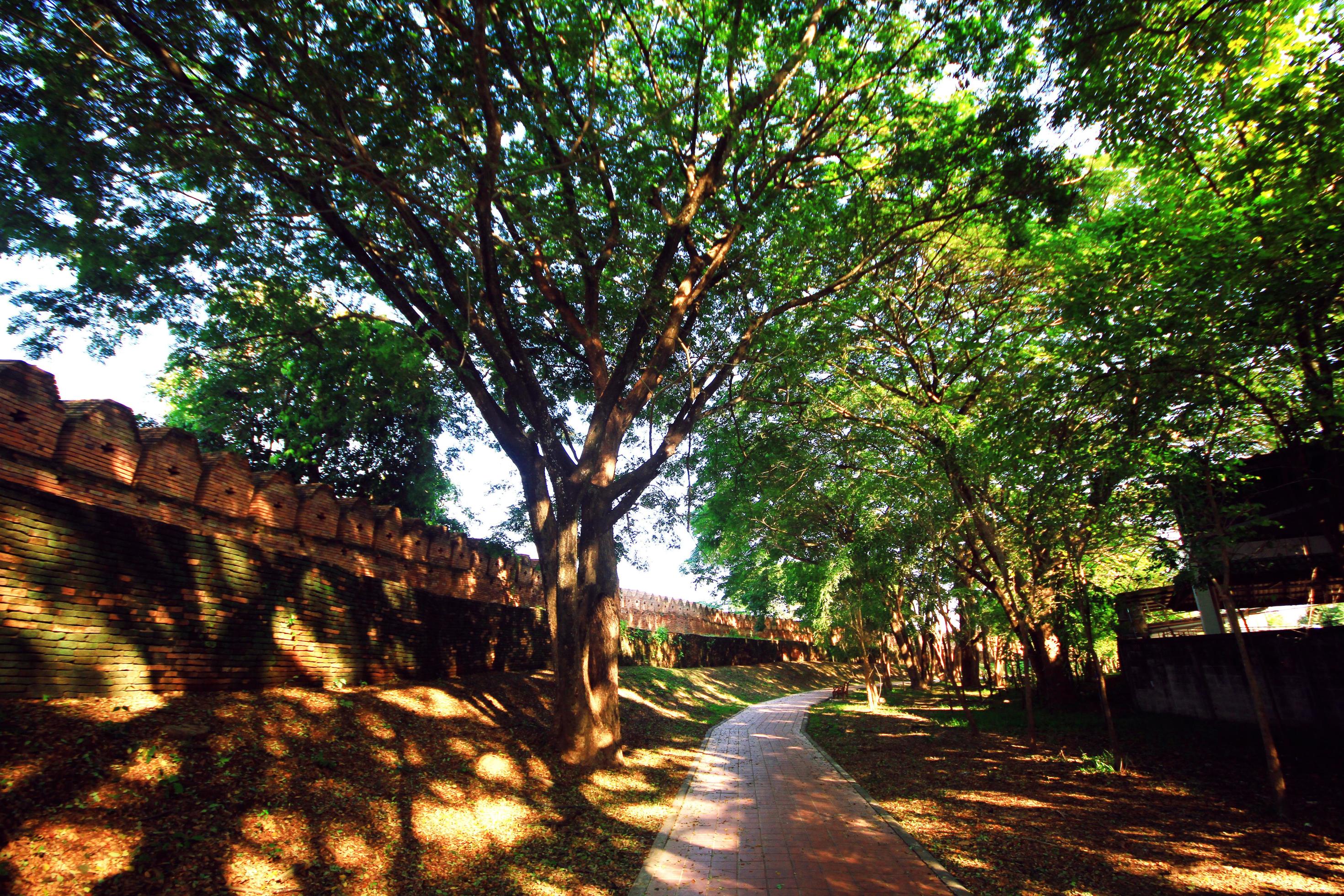 Way path in garden near Historic city brick wall at Nan Province, Thailand Stock Free