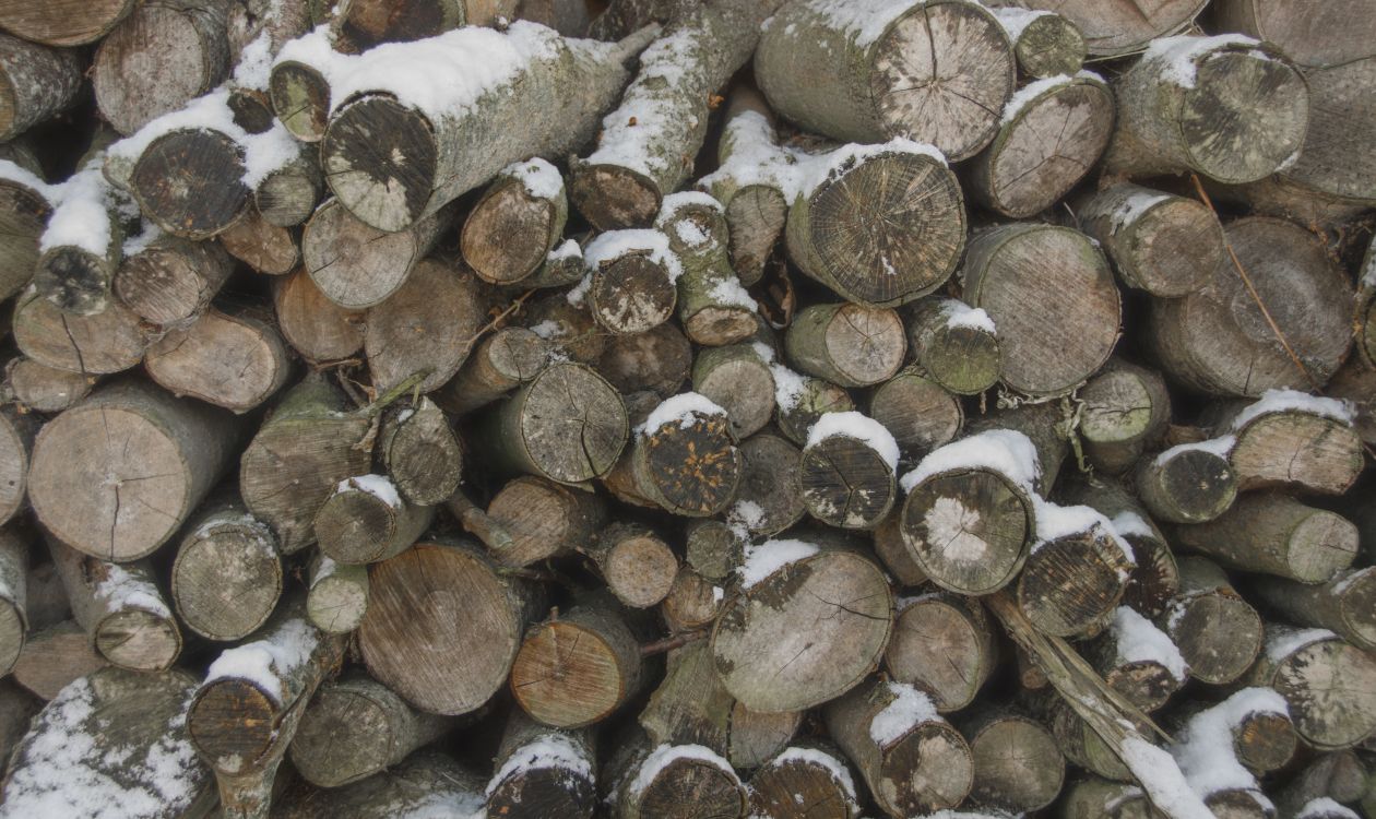 Logs in the winter Stock Free