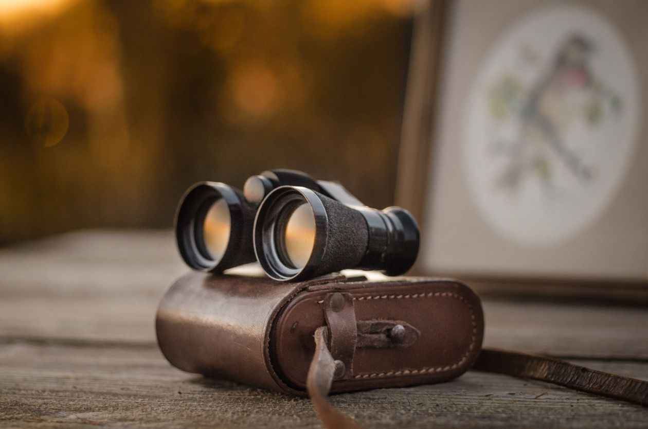 Binoculars Stock Free