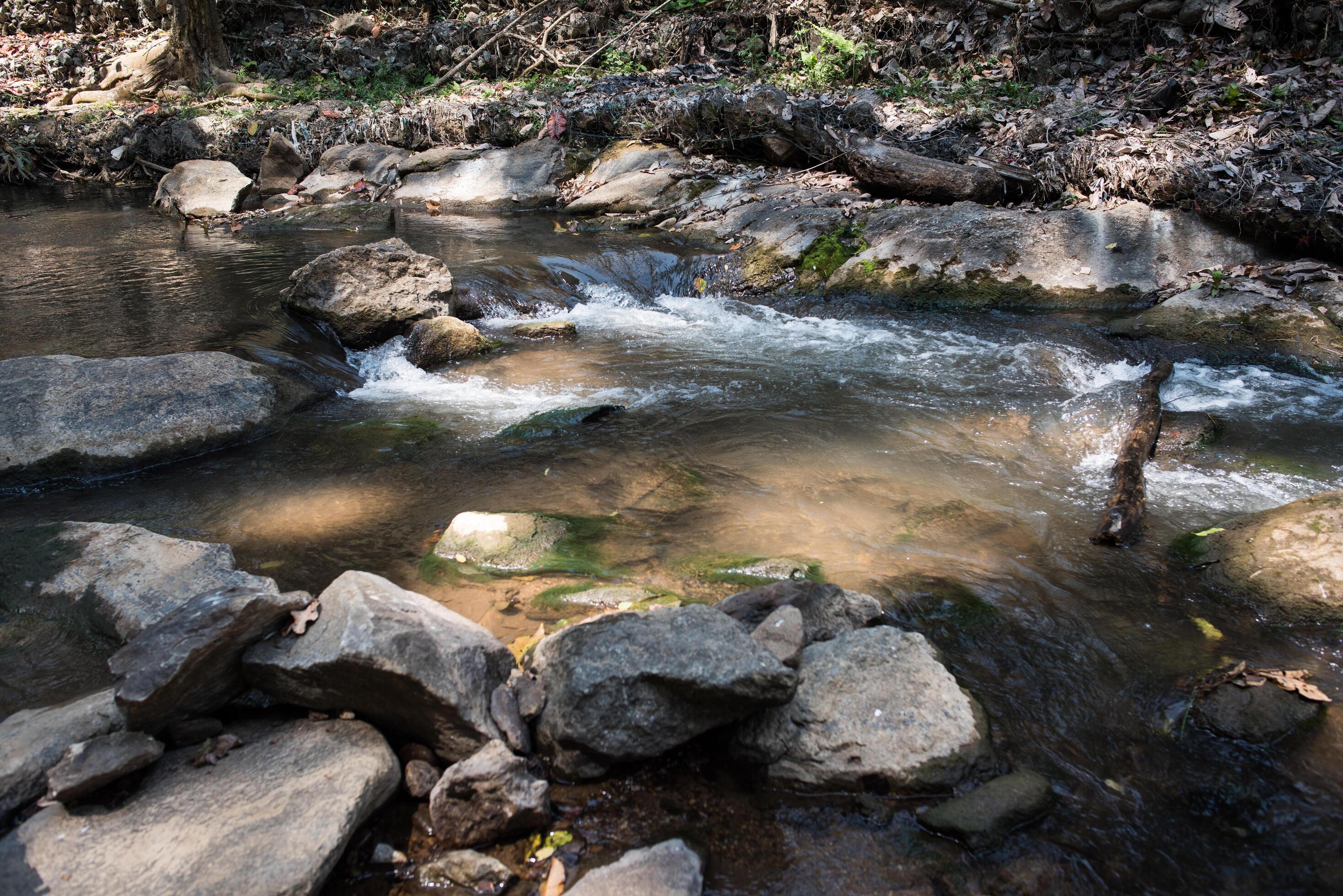 Waterfall in the nature and stone background Stock Free