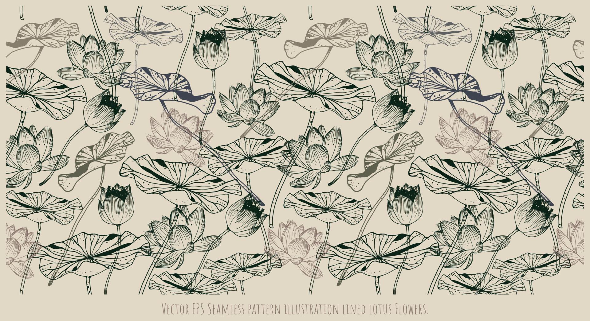 Vector EPS Seamless pattern illustration lined lotus Flowers Stock Free