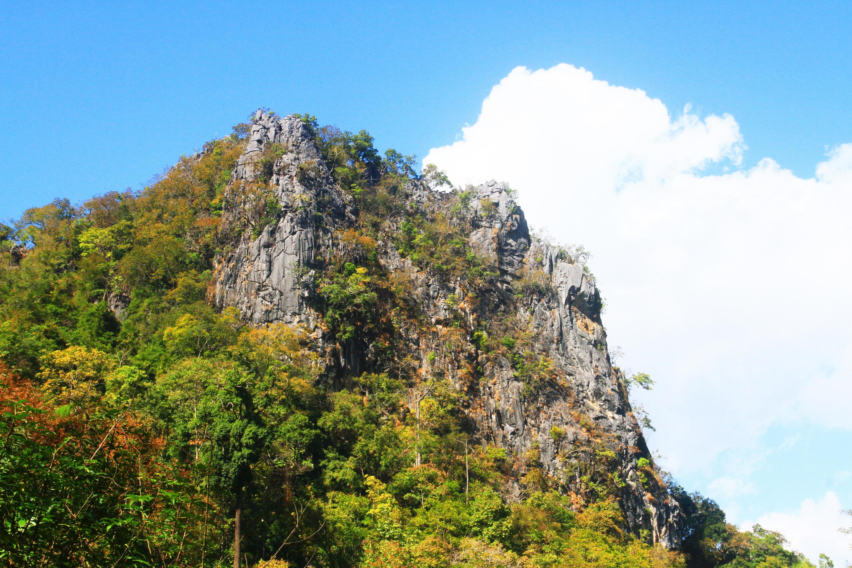 Green forest and jungle with blue sky on Mountain. Stock Free