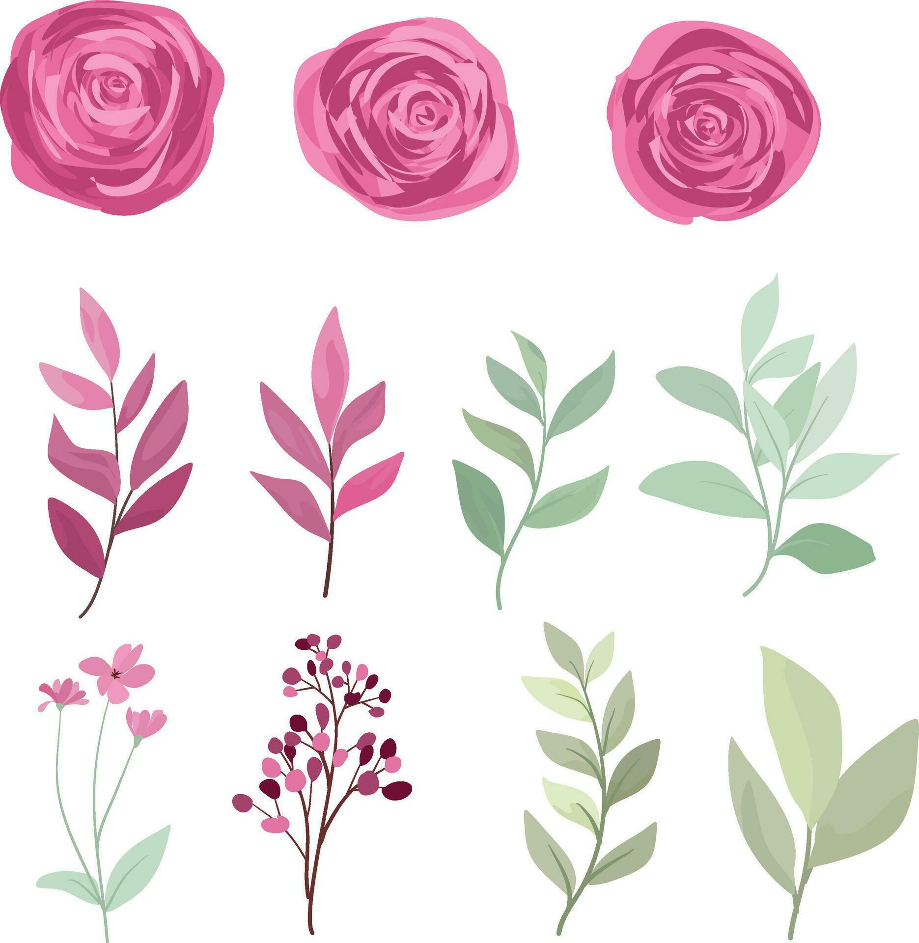 set of maroon rose flower elements and leaves Stock Free