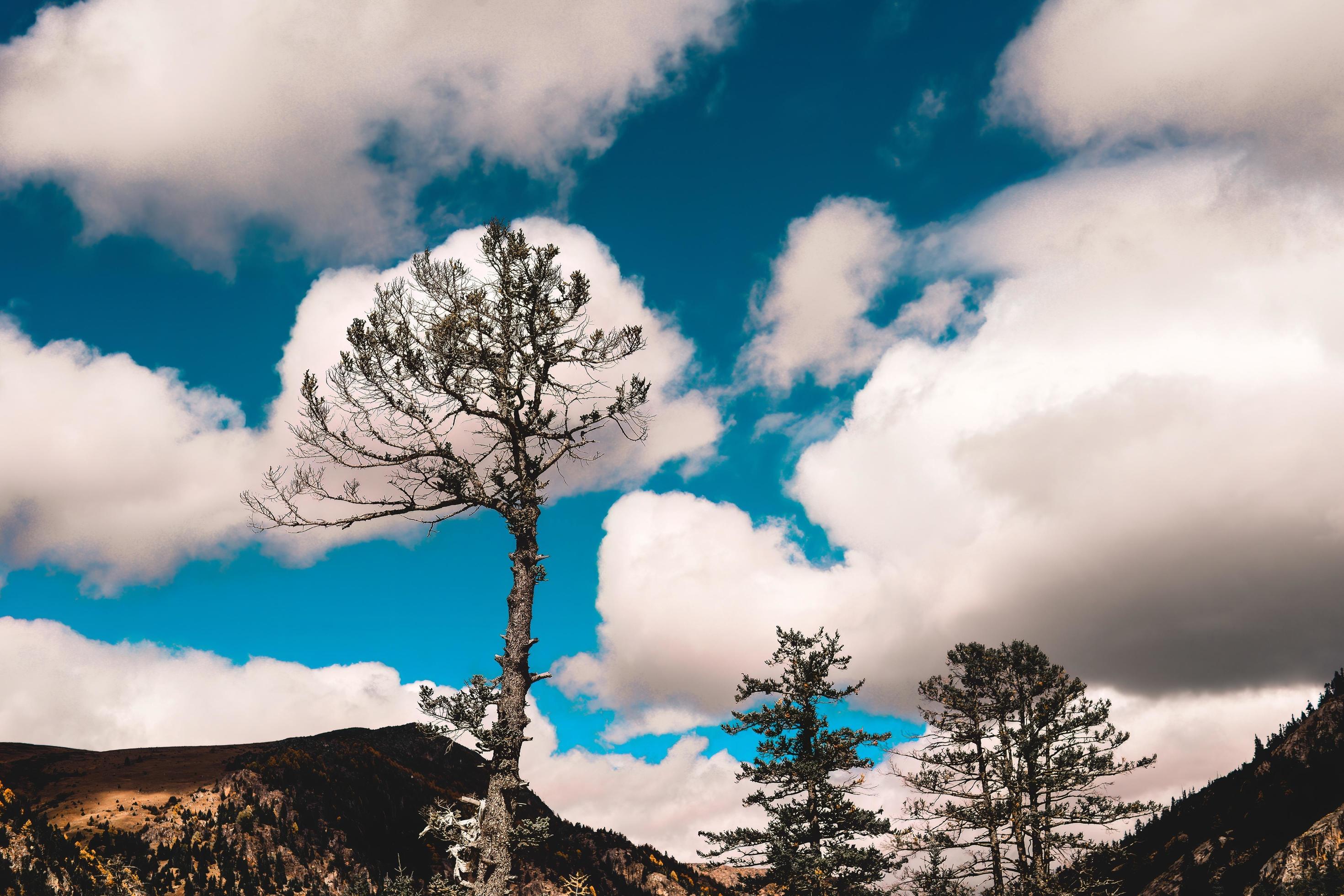 Spectacular scenery in the high mountains of western Sichuan, China, with different seasons Stock Free