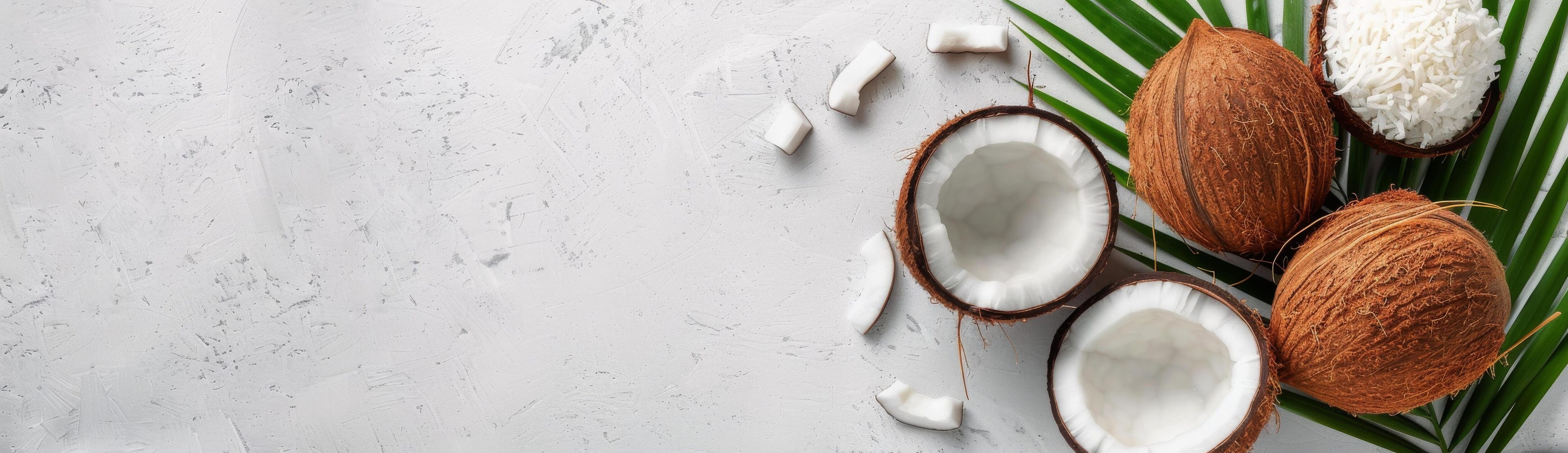 Coconut Halves and Palm Leaf on White Background Stock Free