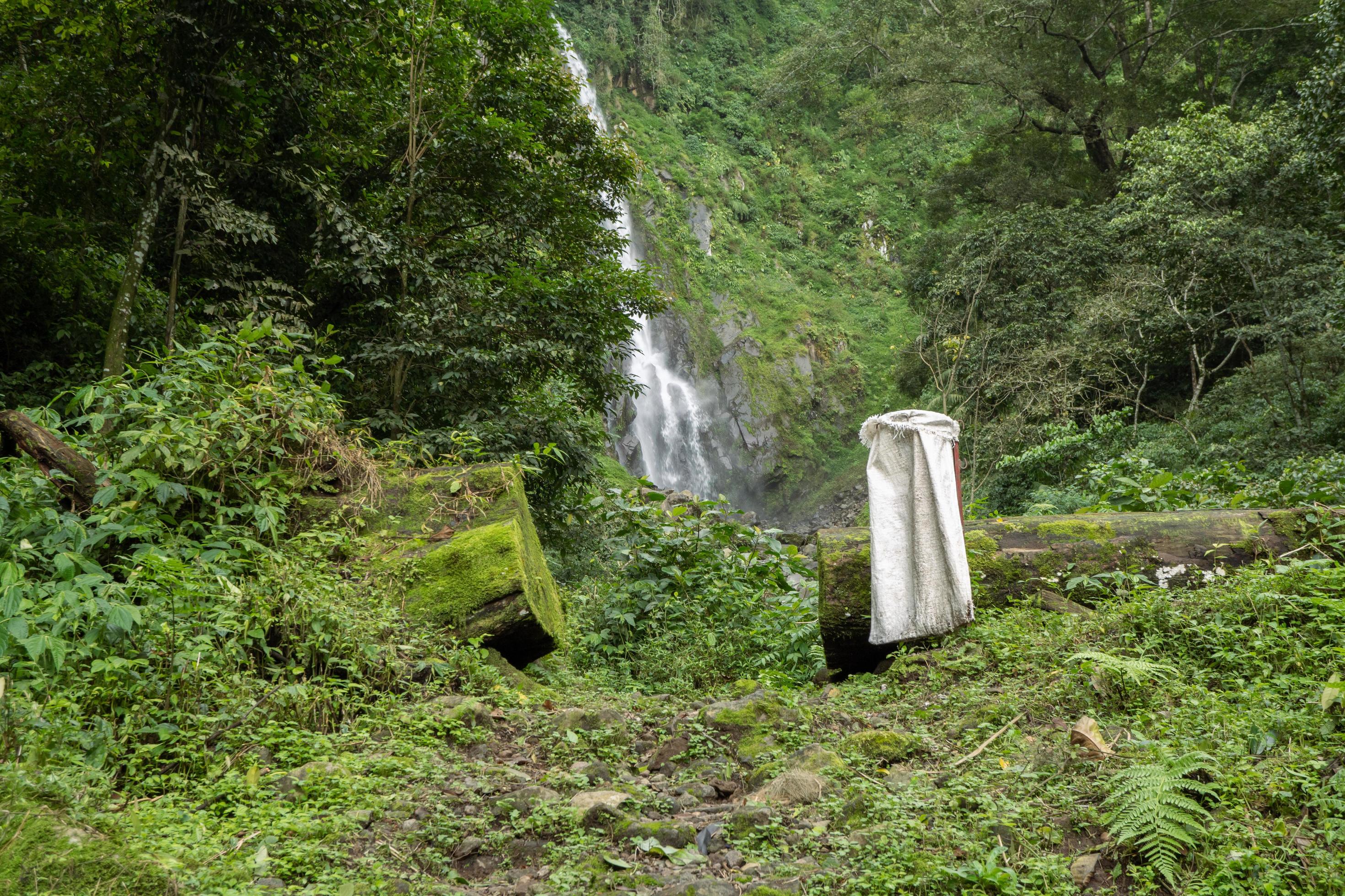 Scenery of single water fall on the tropical forest. The photo is suitable to use for adventure content media, nature poster and forest background. Stock Free