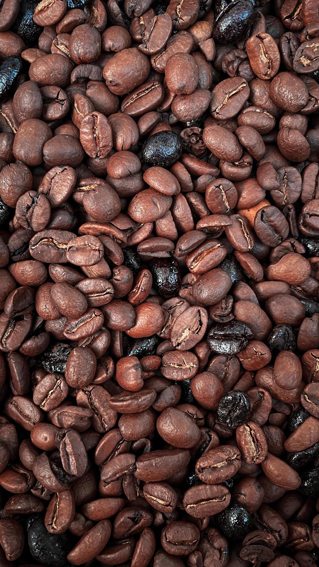 roasted coffee beans background, food and drink Stock Free