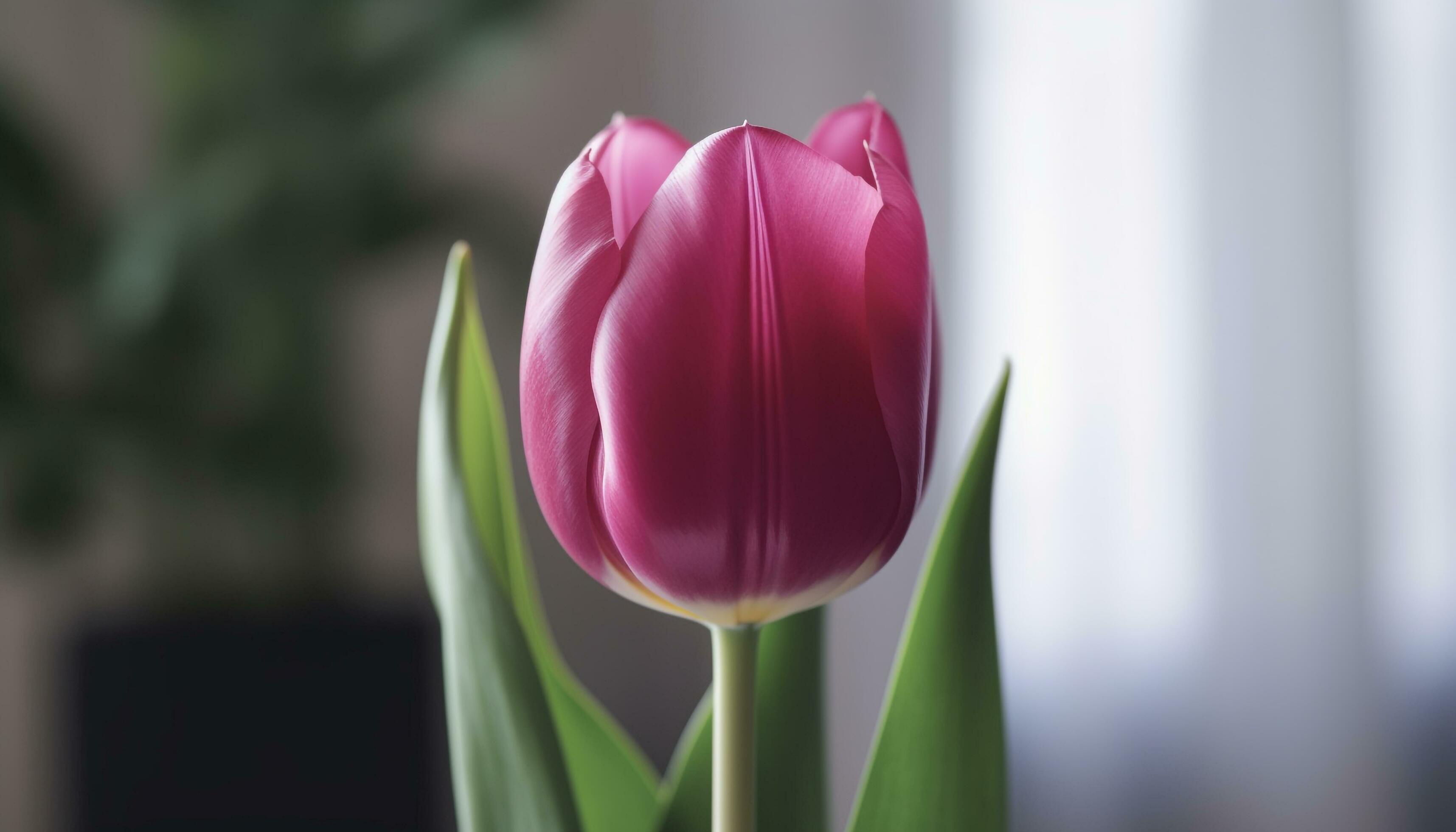 Vibrant bouquet of multi colored flowers brings nature indoors generated by AI Stock Free