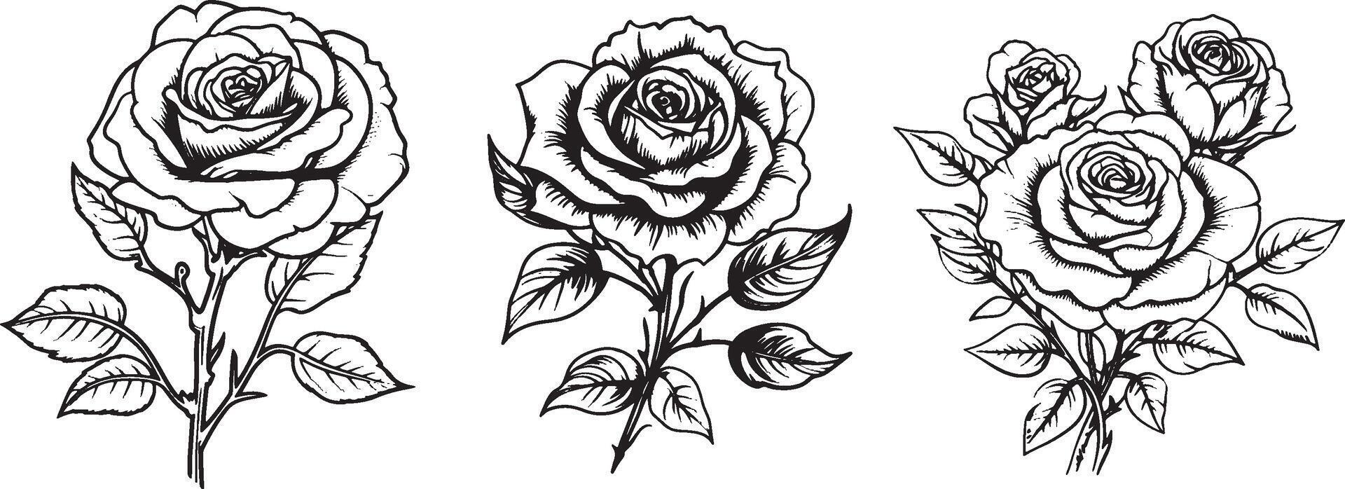 Rose Flower Line Art Logo Template Clipart Stock Free