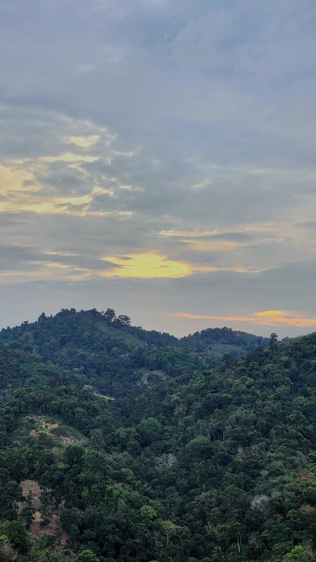 Forest Hill Sunset Sky With Clouds Nature Scenery Stock Free