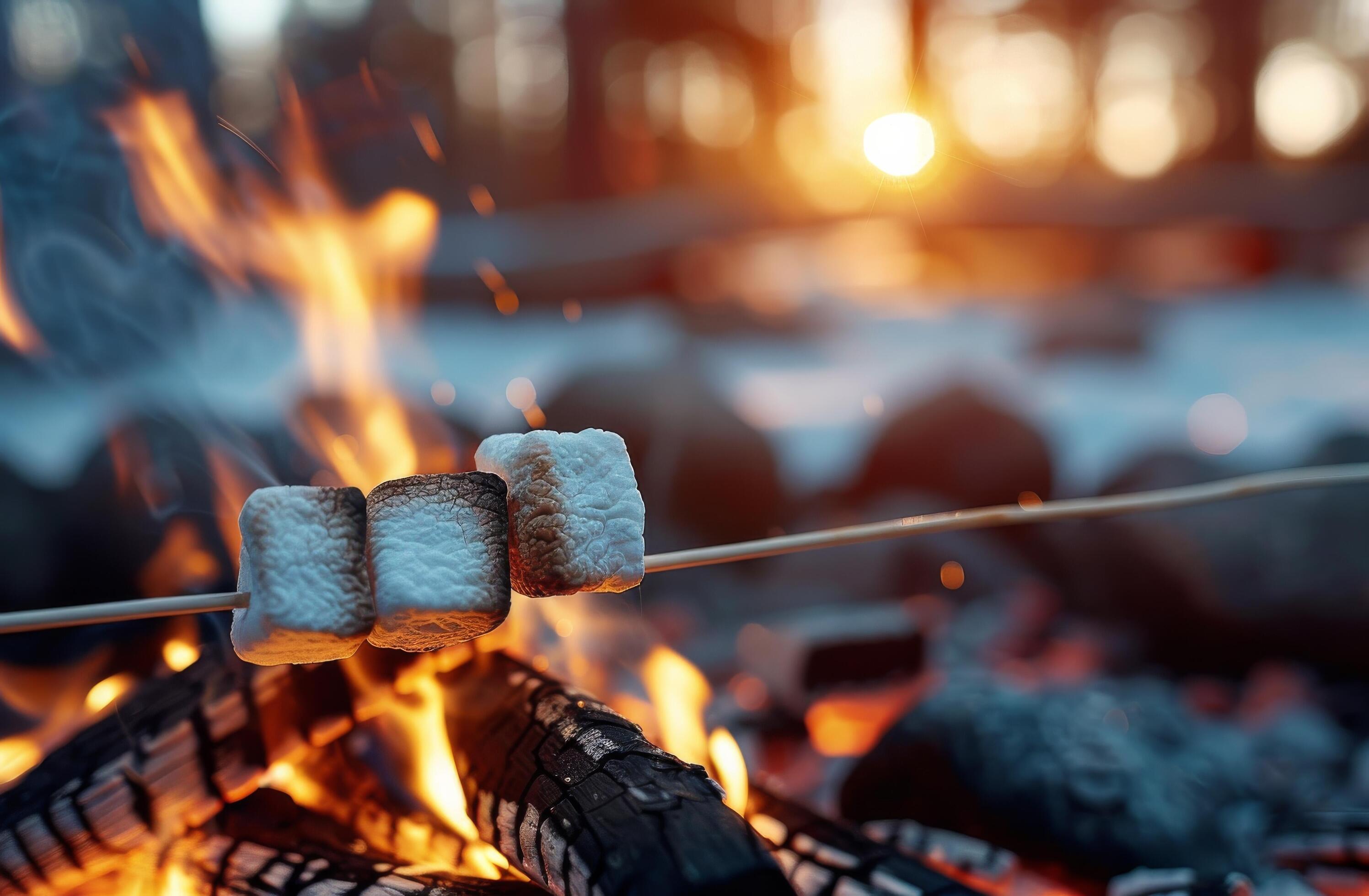 Marshmallows Roasting Over A Campfire Stock Free