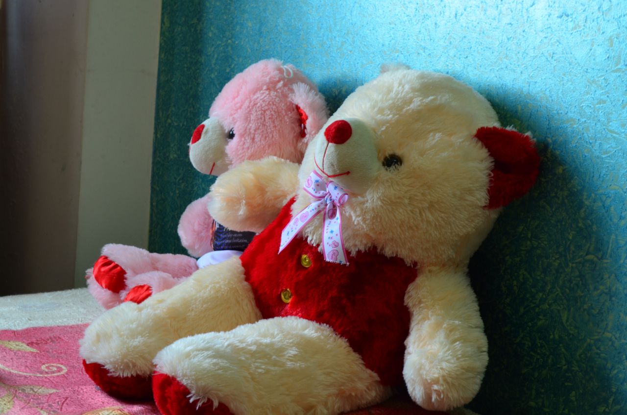 Love Couple Teddy Bears Stock Free