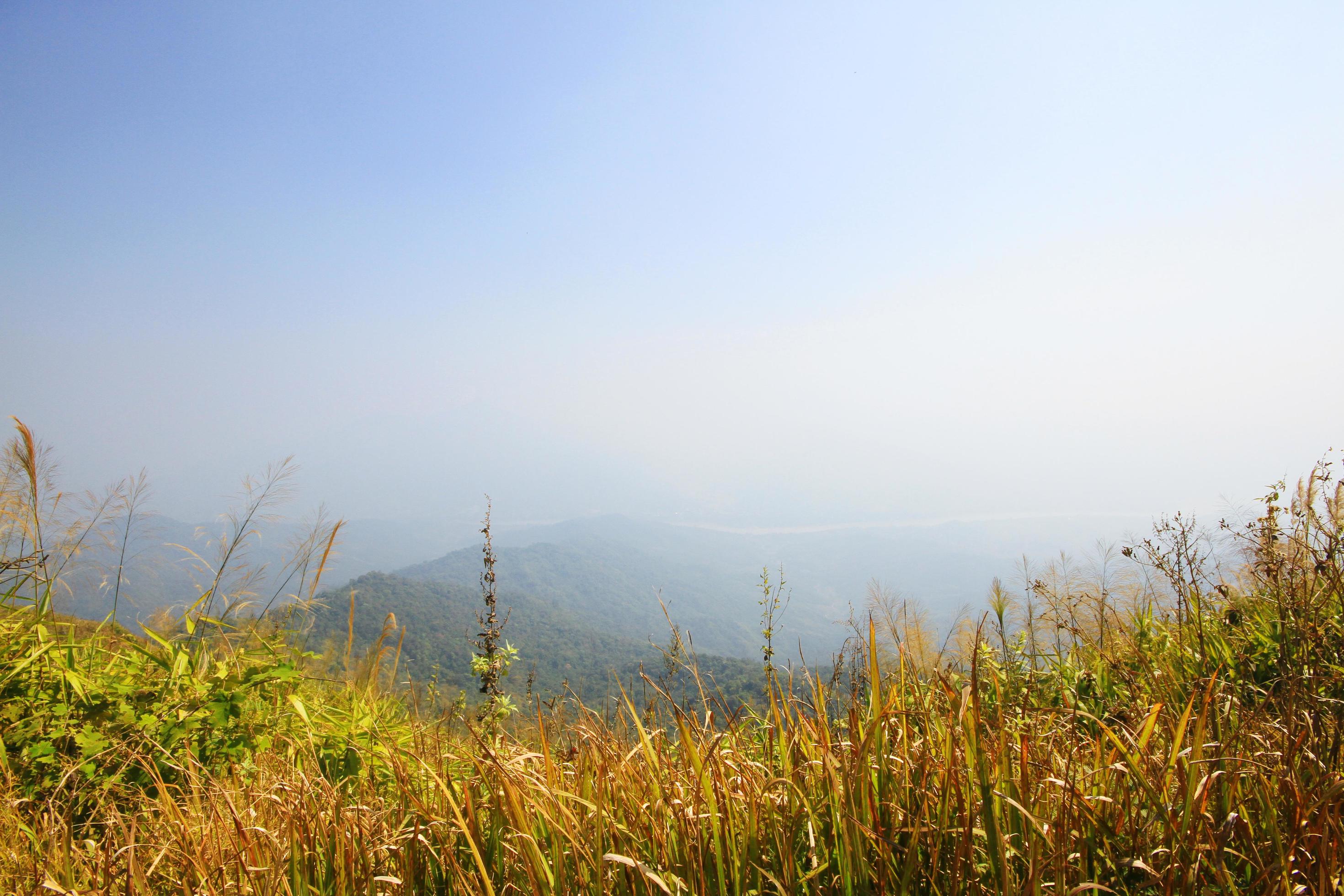 Golden dry grass on the valley mountain. Stock Free