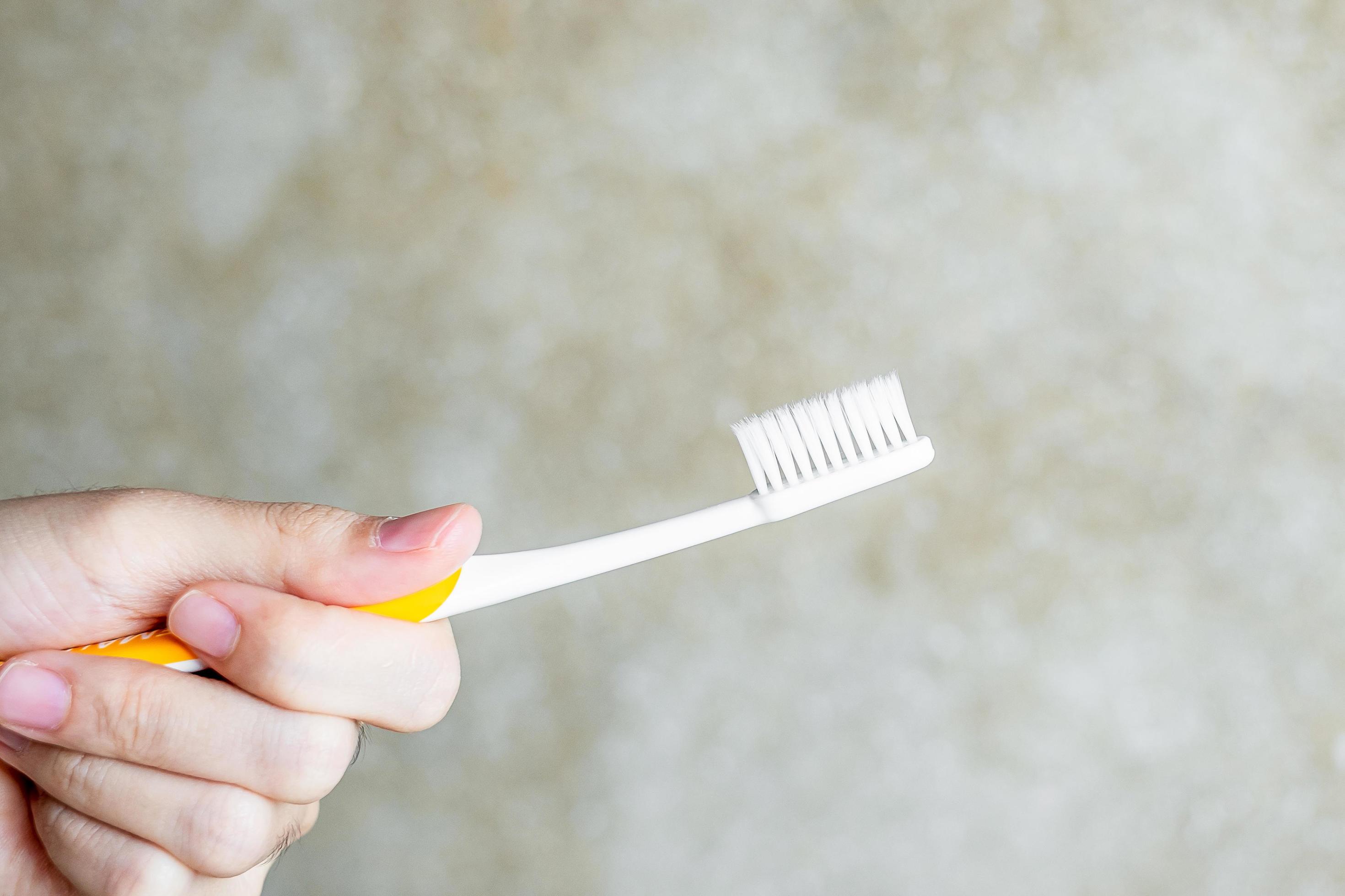 Hand holding Toothbrushes in bathroom. Lifestyle, daily routine, World oral health day and free dental day concept Stock Free