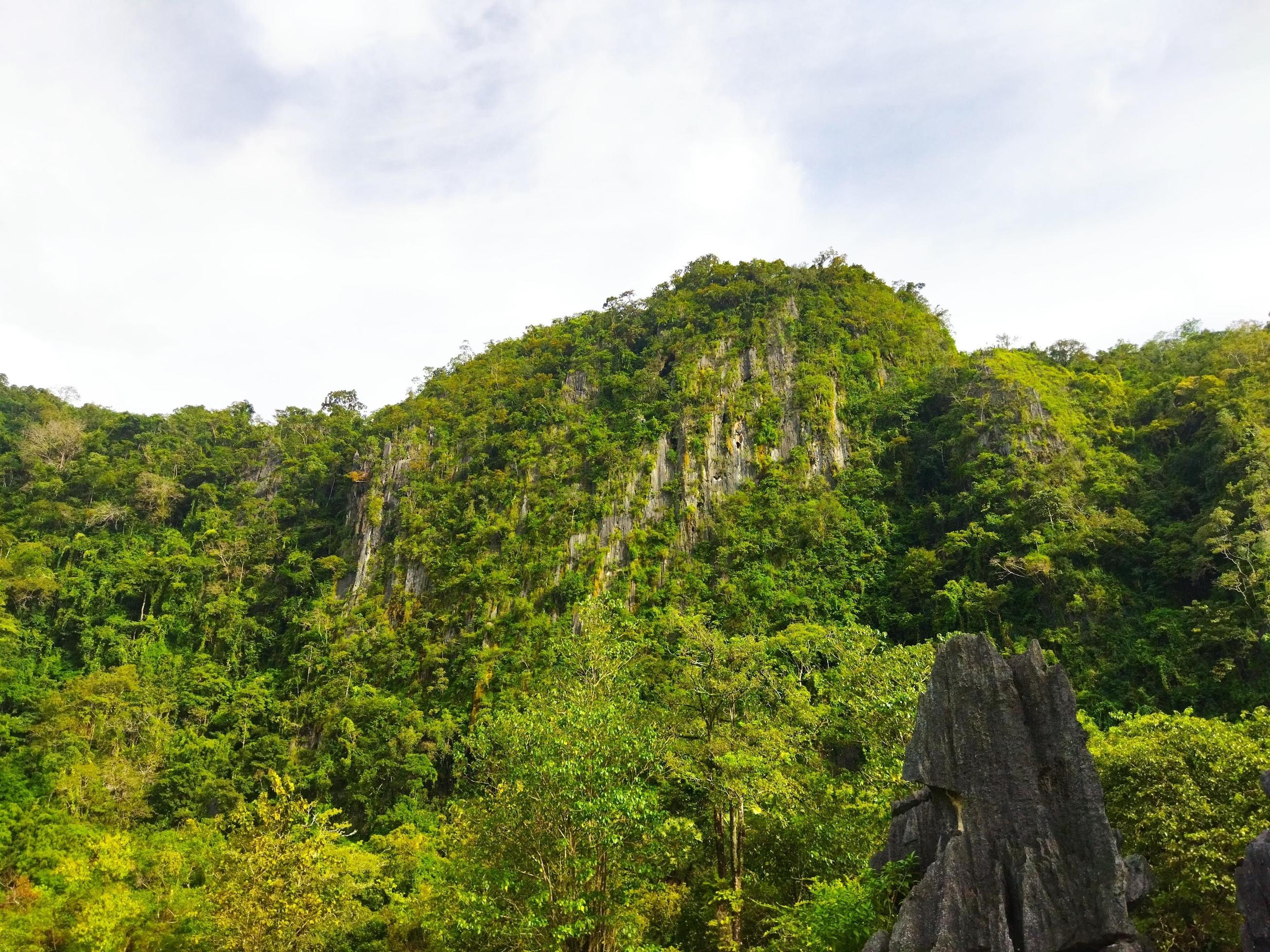 Stone made of nature at isolated environment Stock Free