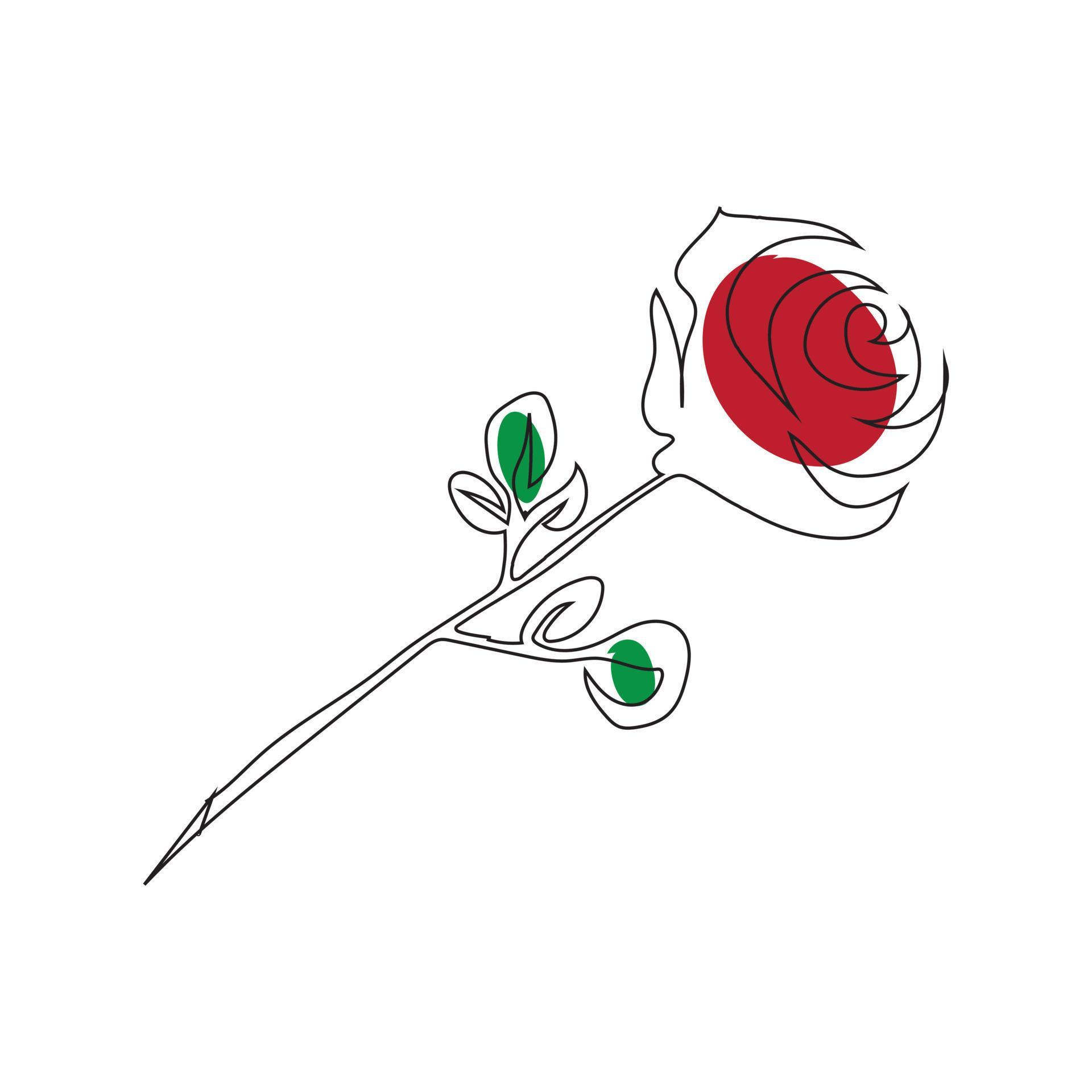 Rose flower line art drawing style, The rose sketch black linear isolated on white background, And the best rose line art vector illustration. Stock Free