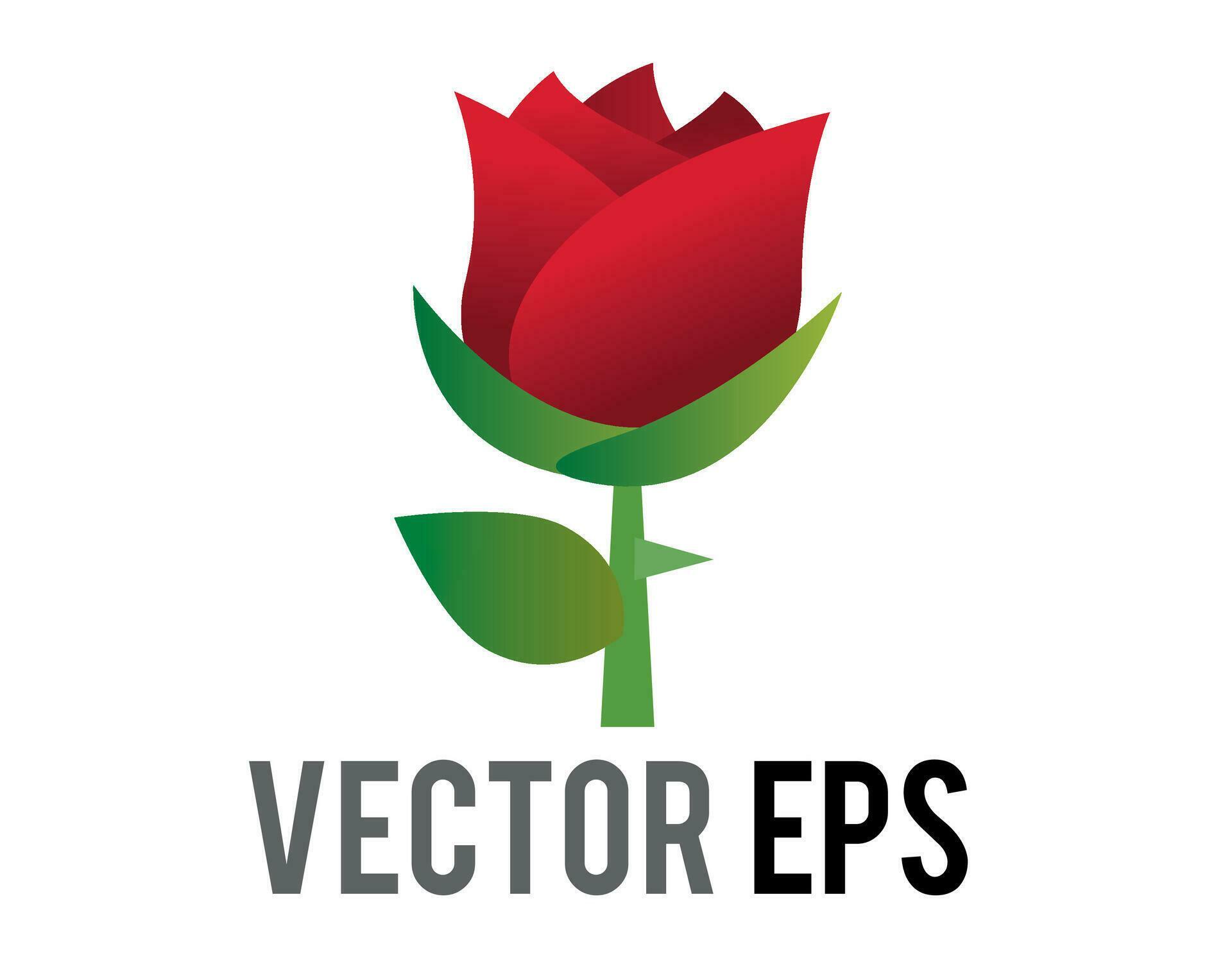 Vector red rose flower icon with green stem and leaves Stock Free and Free SVG