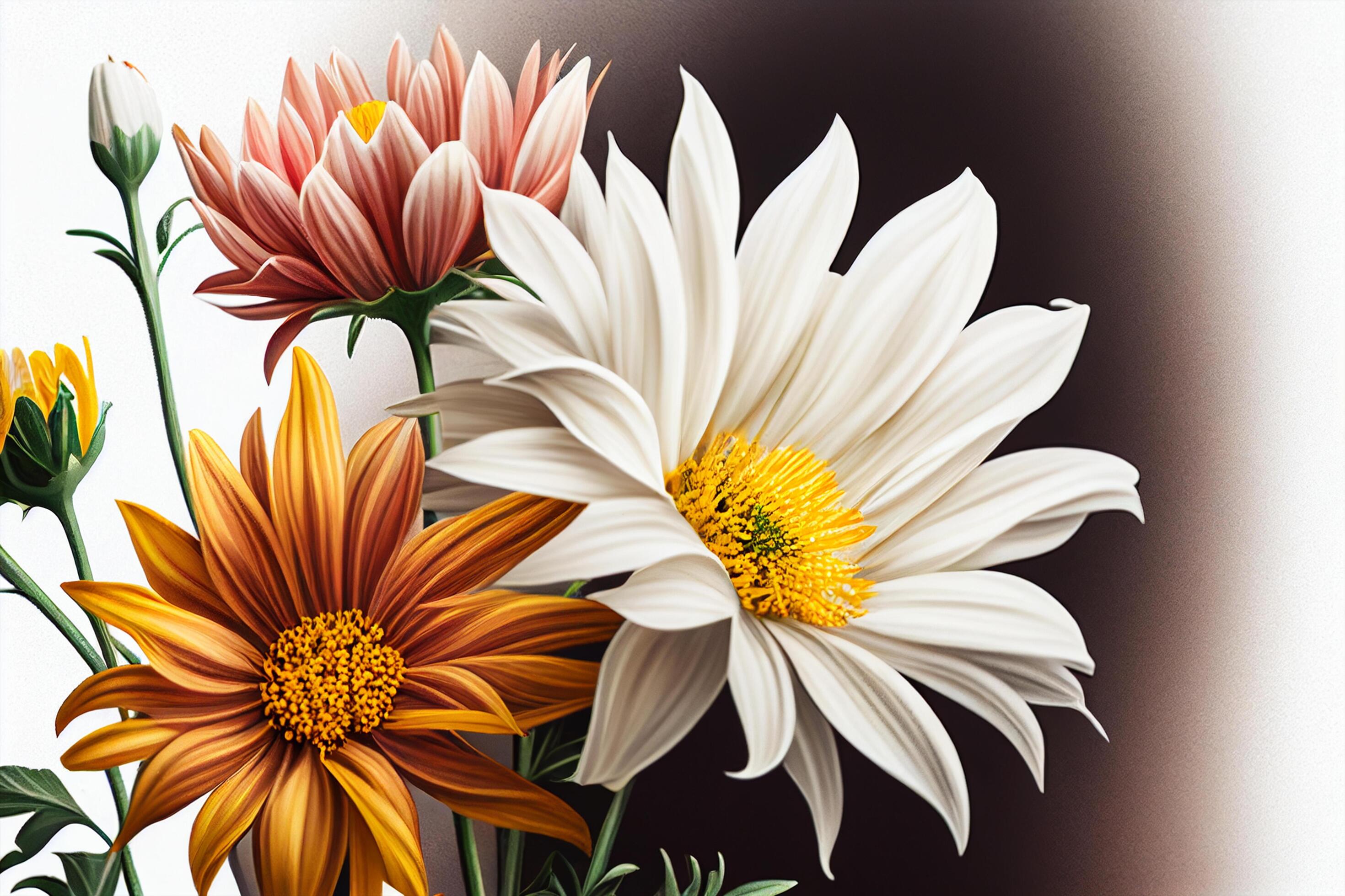 Colorful autumn flowers on a dark background. illustration Stock Free