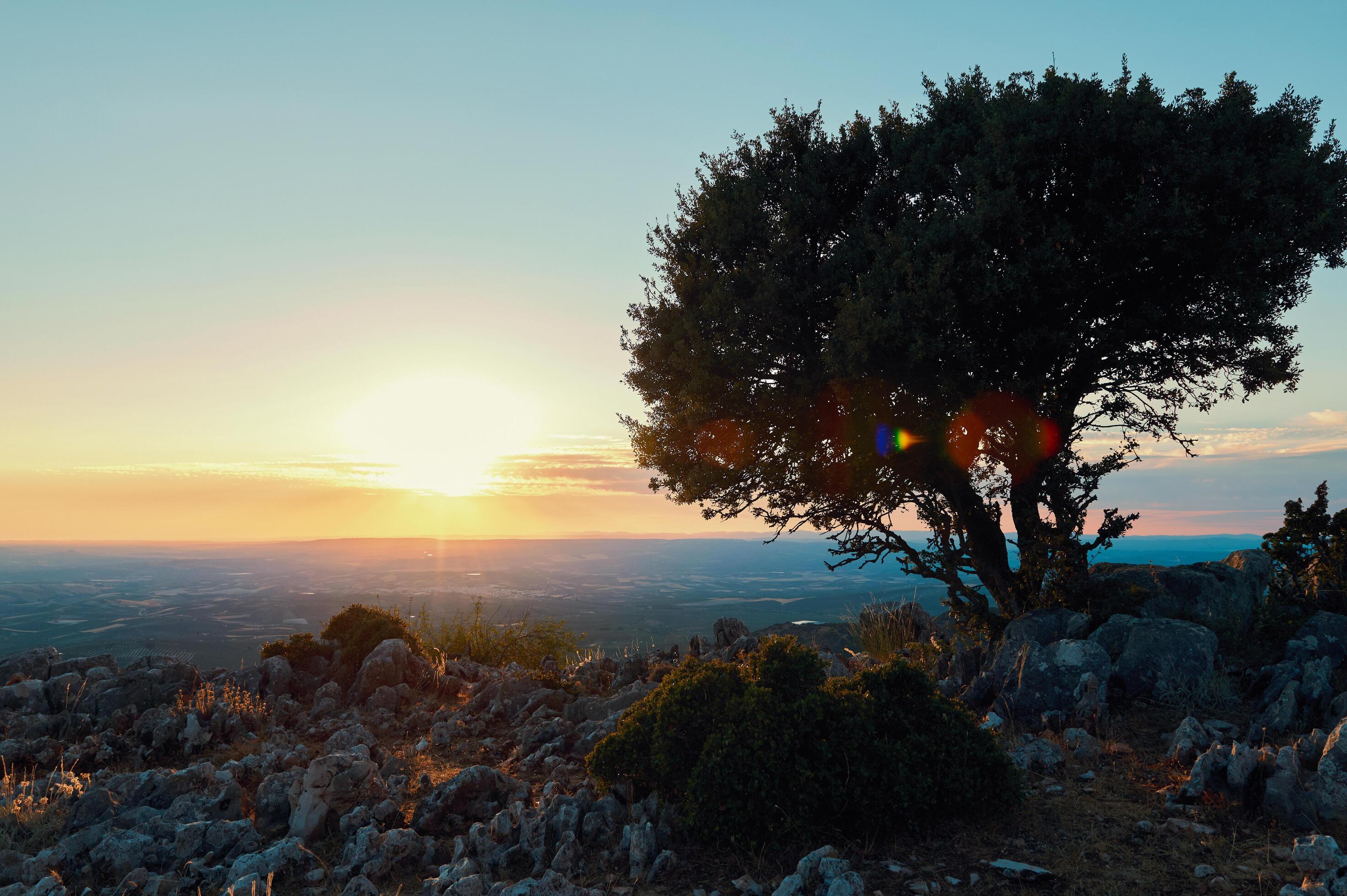 Scenic sunset view from a rocky hill with a tree silhouette and vast landscape in the background Stock Free