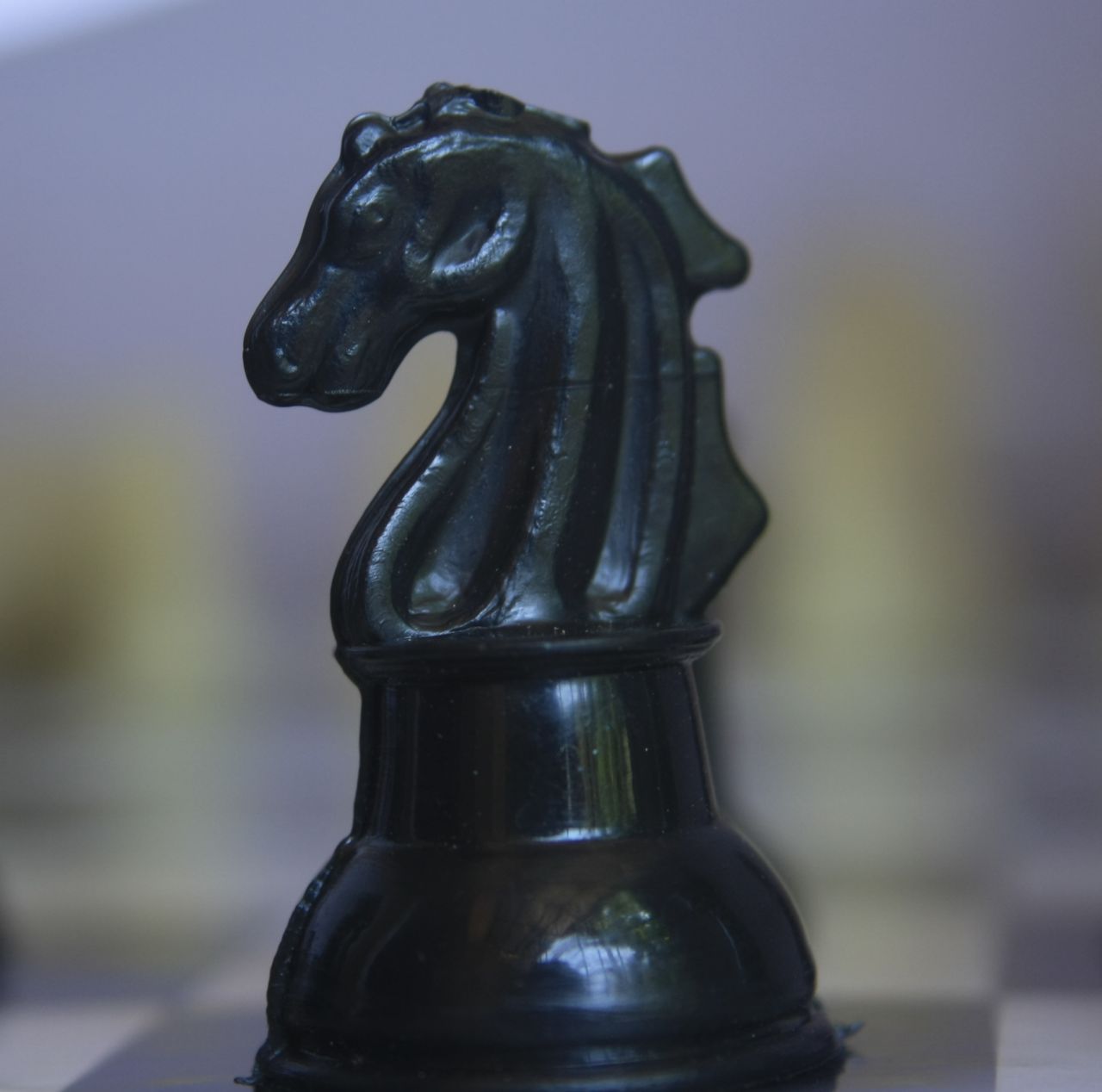 Knight Chess Stock Free