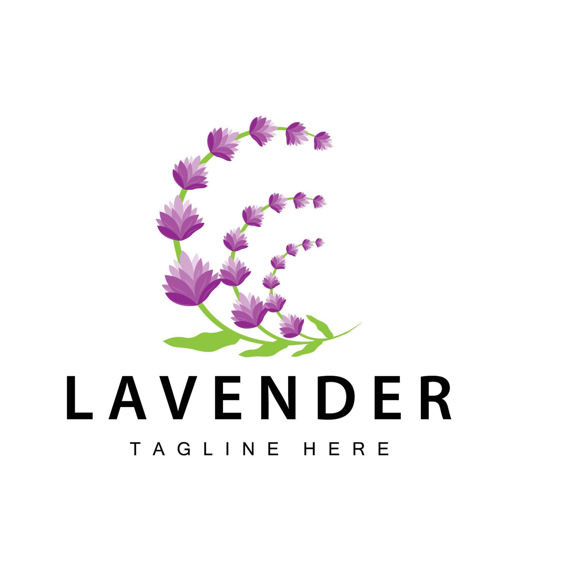 Lavender logo simple design vector cosmetic plant purple color and aromatherapy lavender flower garden template Stock Free