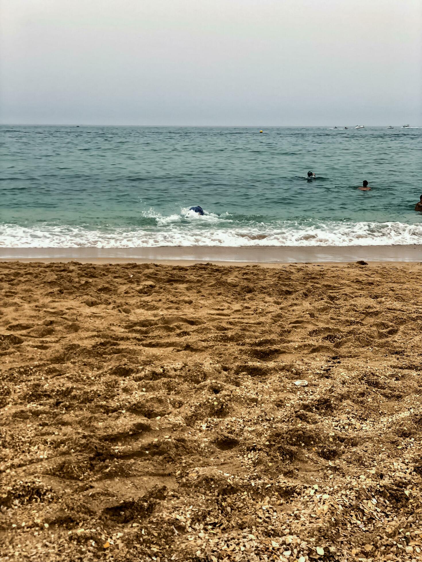 Nature Beauty by the Sea and Sand Stock Free