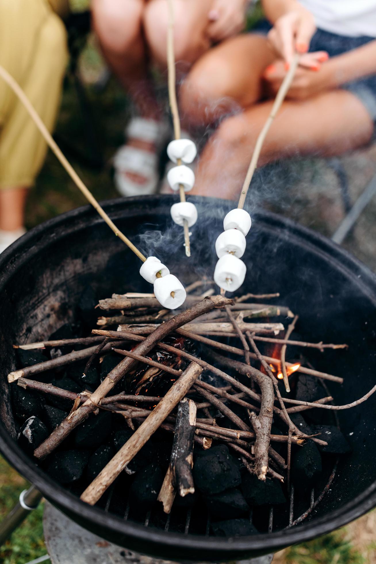 Closeup is cooking grill food. Vertical image Stock Free