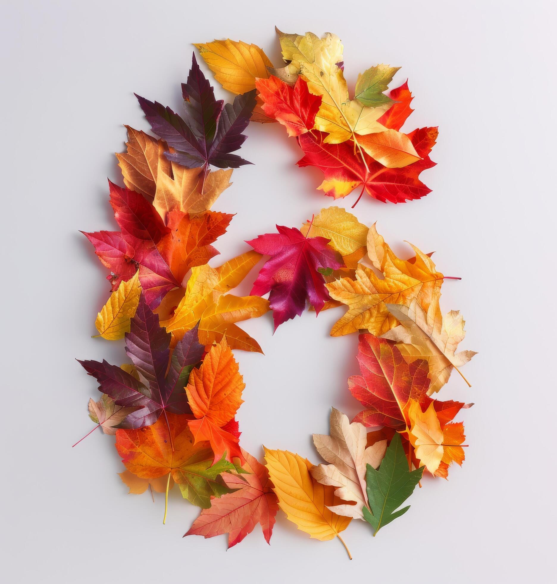 Colorful Autumn Leaves Forming Number Six on White Background Stock Free