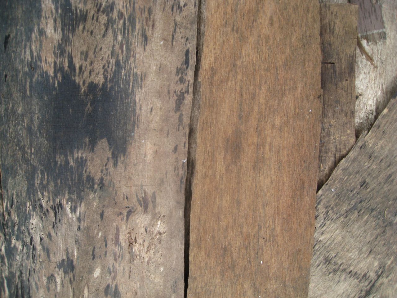 Wood Planks Stock Free