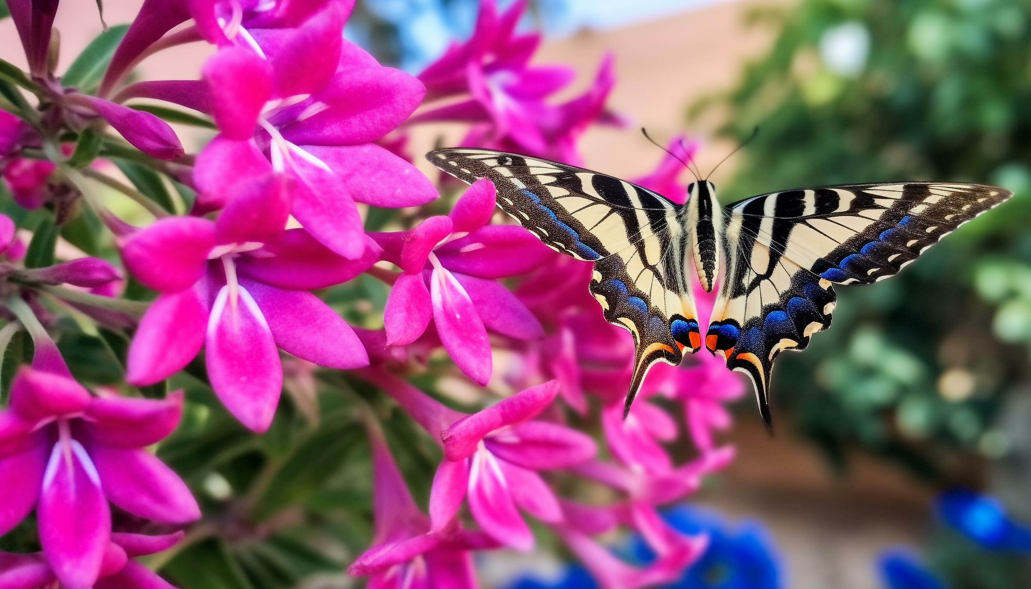 Vibrant butterfly pollinates purple flower in close up nature shot generated by AI Stock Free