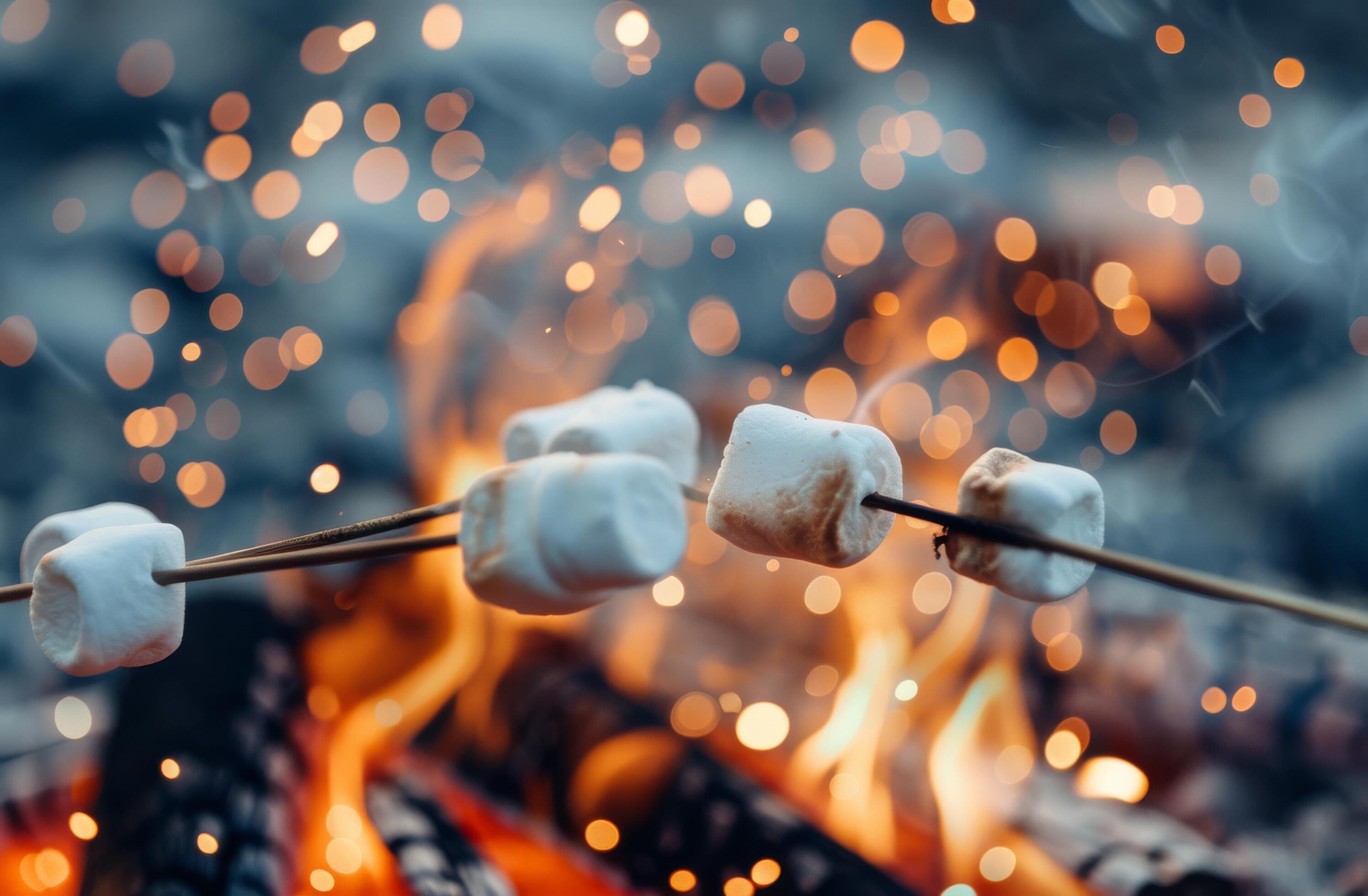 Marshmallows Roasting Over A Campfire Stock Free