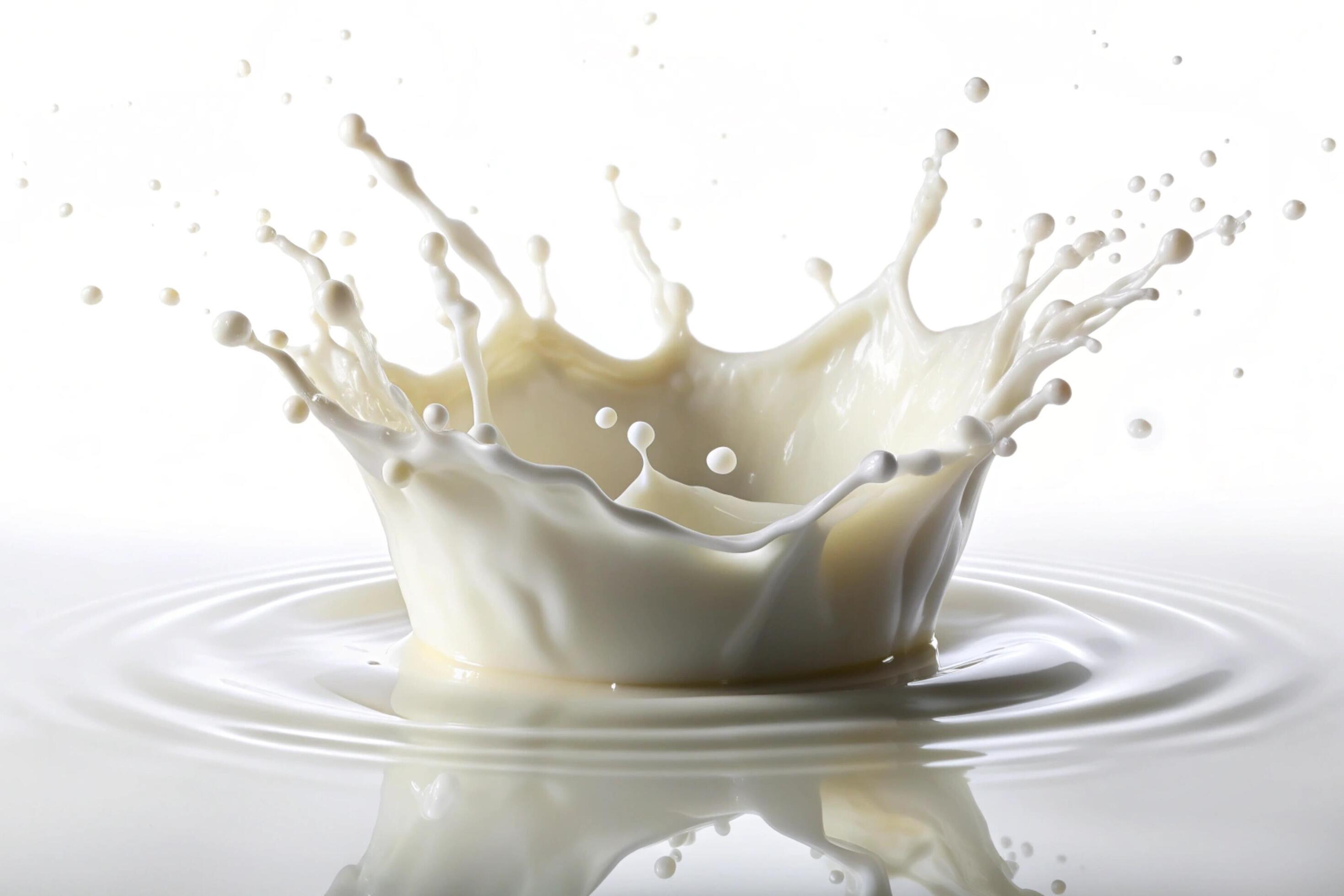 Milk splashes on white background Stock Free