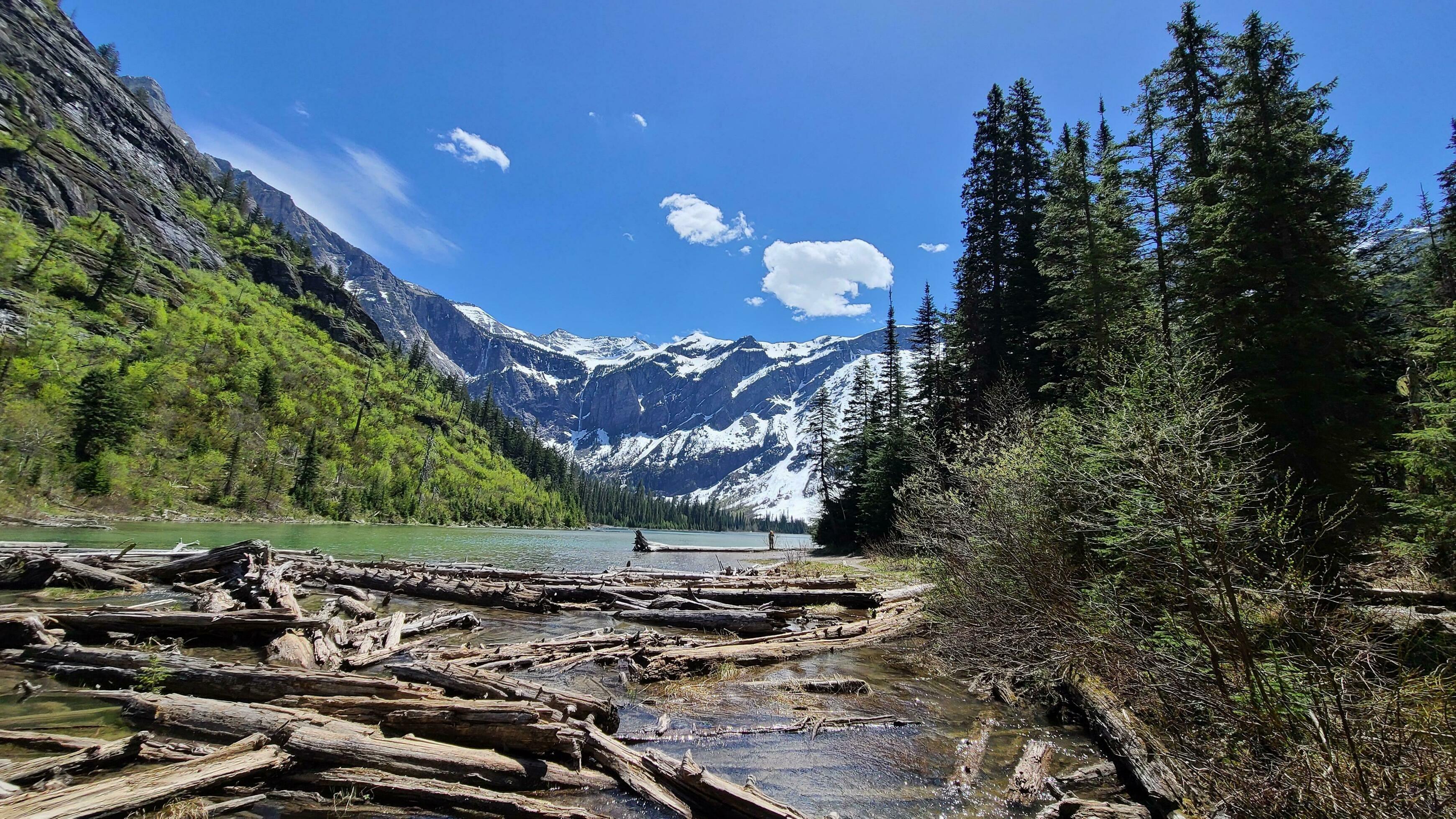 Lake in Glacier National Park Stock Free