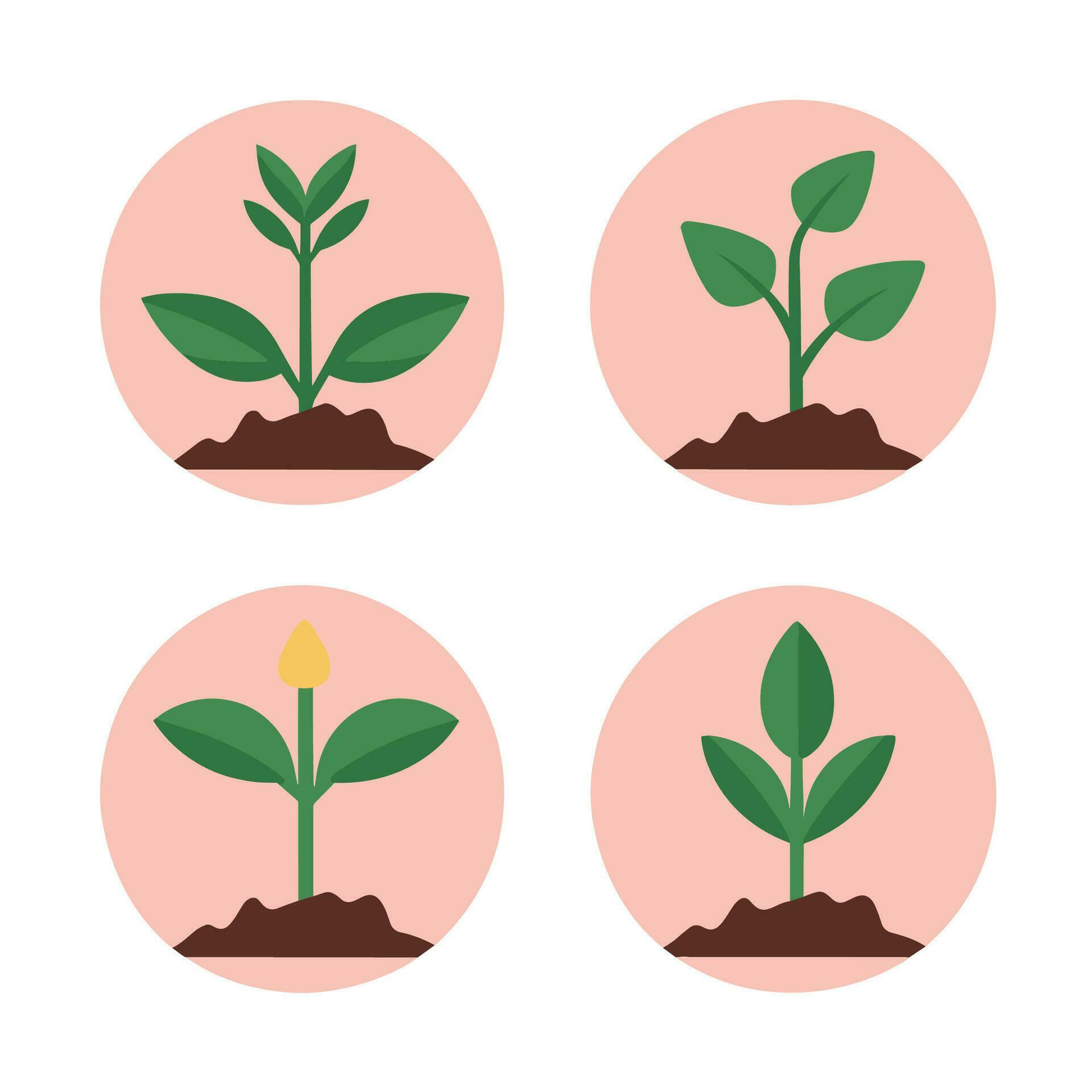 Flowers and plants seedling process flat icons set isolated vector illustration. Stock Free