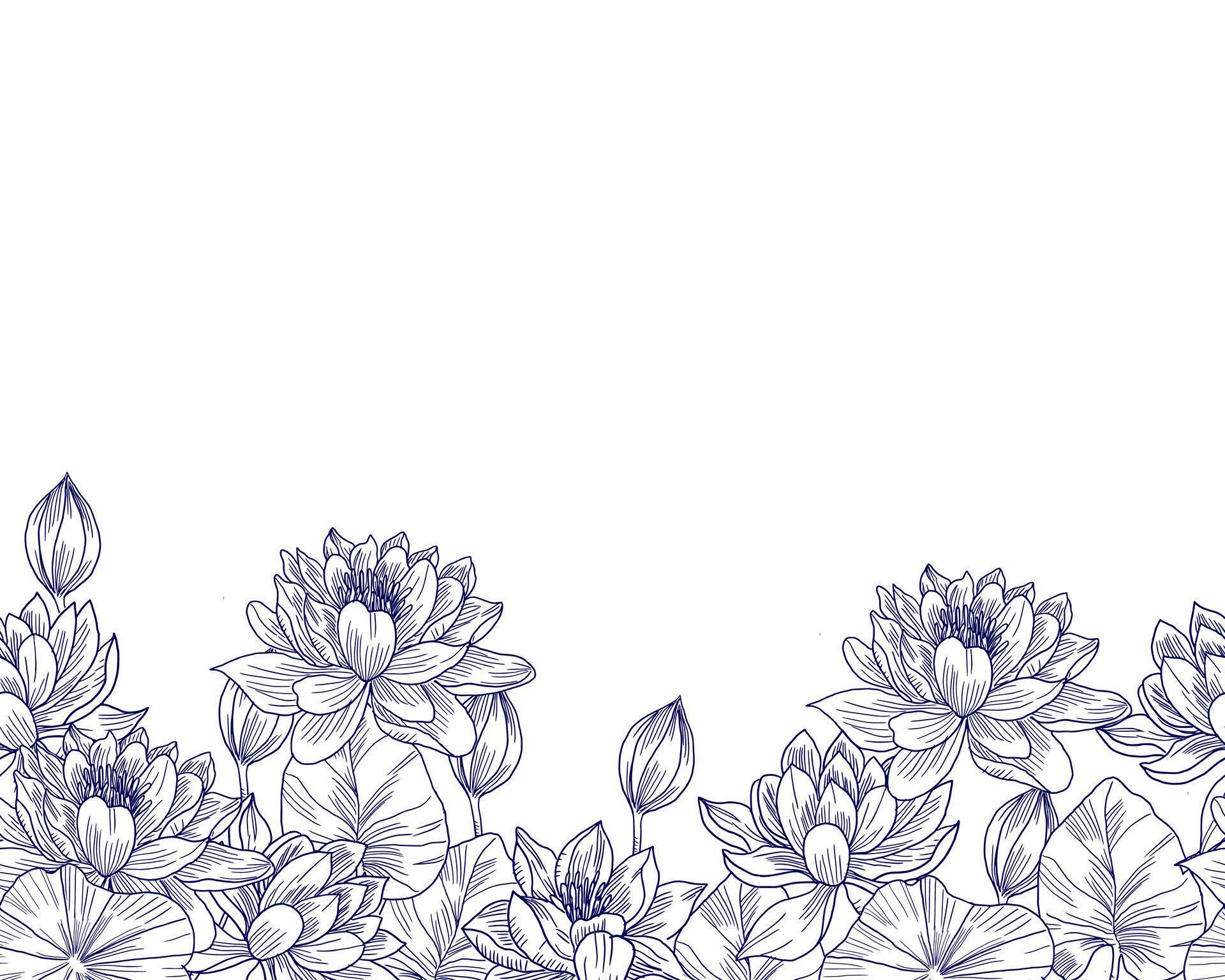 Hand Drawn Water Lily Flower Background Stock Free