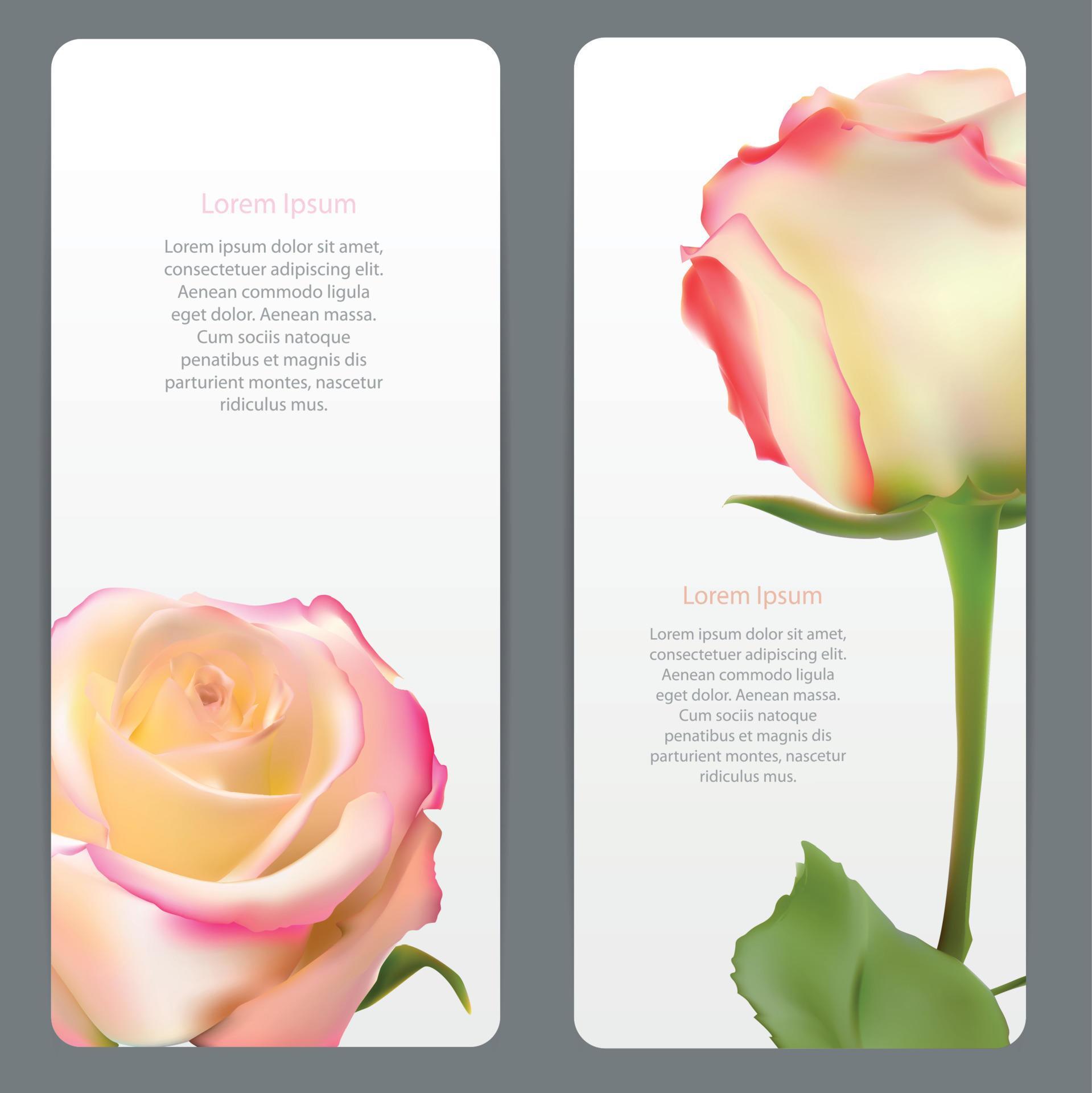 Beautiful Floral Cards with Realistic Flowers Rose and Lilly Vector Illustration Stock Free