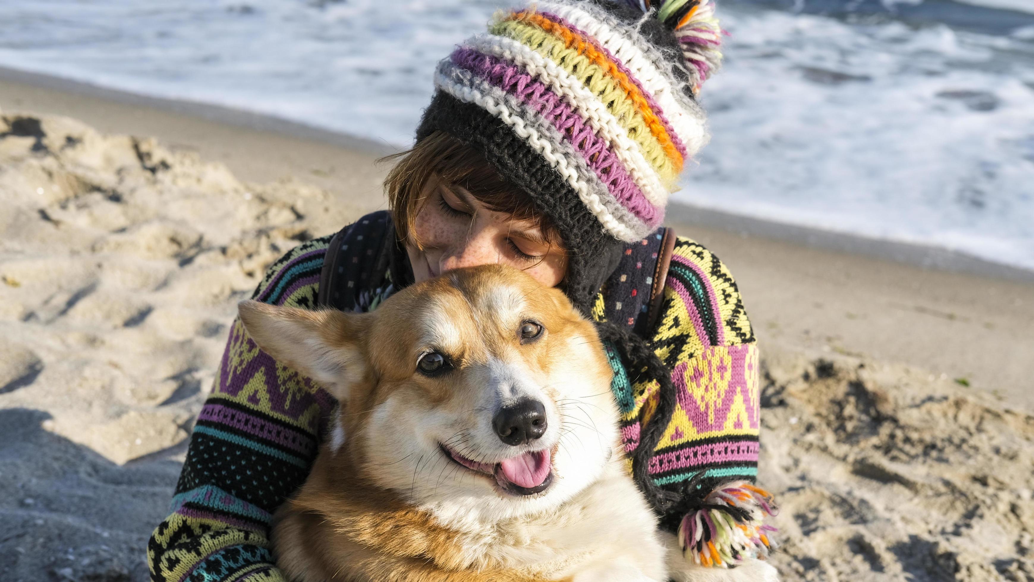 Young happy female walk with cute corgi dog on the autumn sunny beach Stock Free