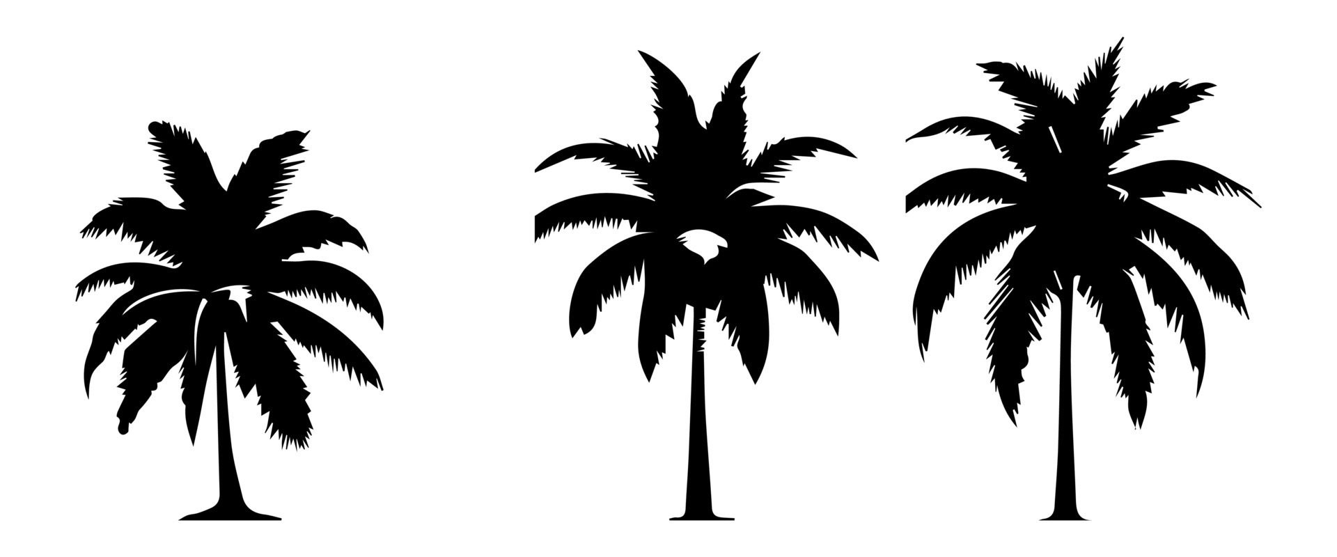 Black palm trees set isolated on white background. Palm silhouettes. Design of palm trees for posters, banners and promotional items. illustration Free Vector