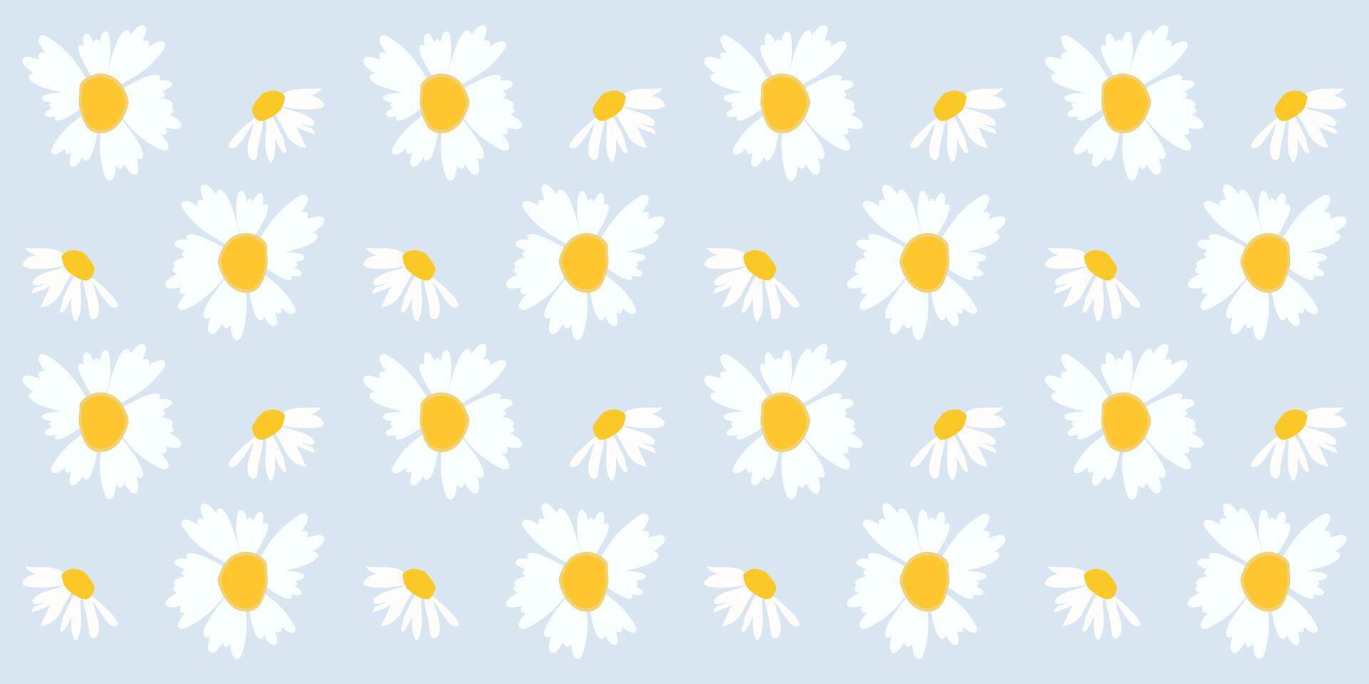 A Set of beautiful daisy flowers on blue background illustration. Cute summer wallpaper illustrator Stock Free