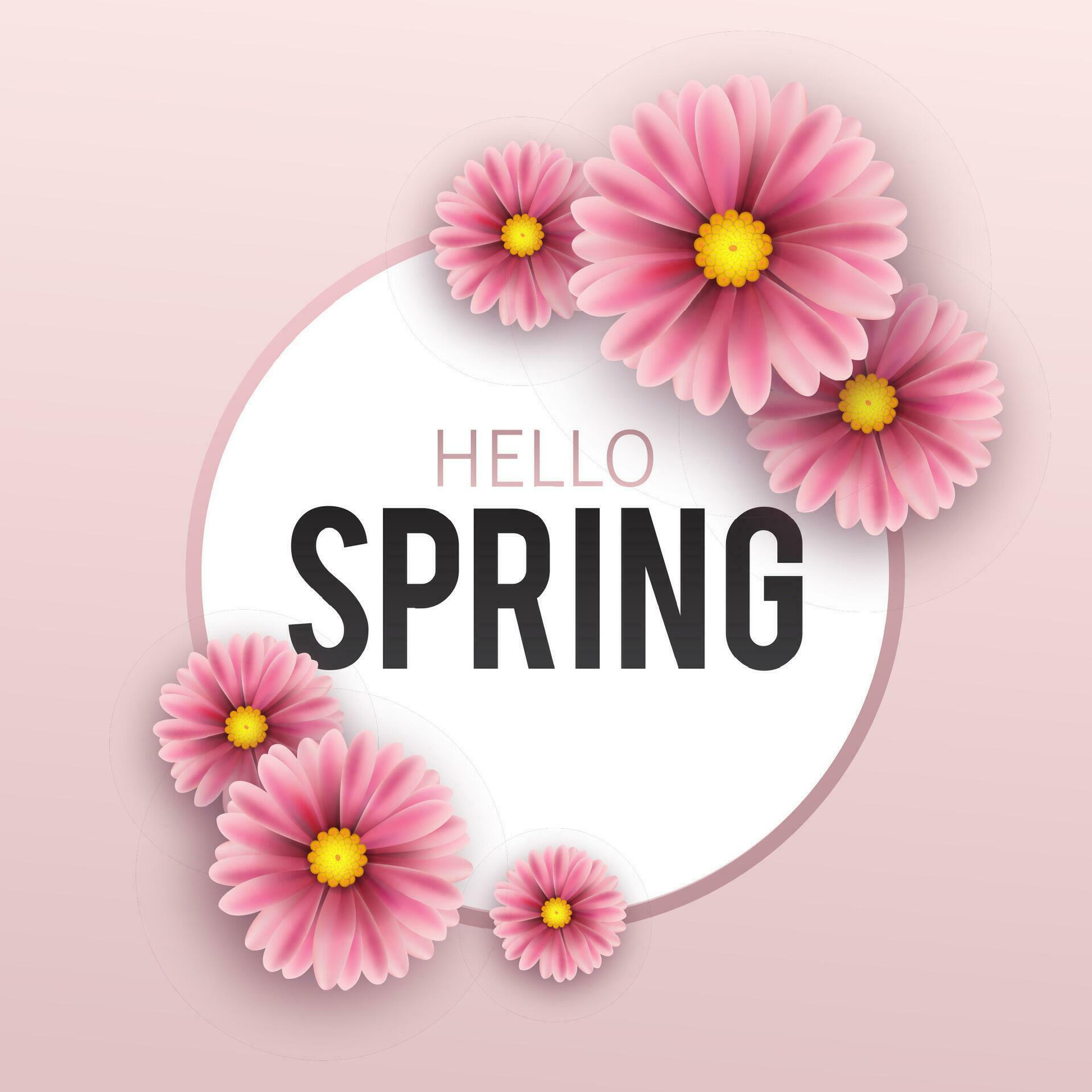 Hello Spring, floral greeting card, paper flowers. Banner with realistic paper flowers. Vector illustration Stock Free