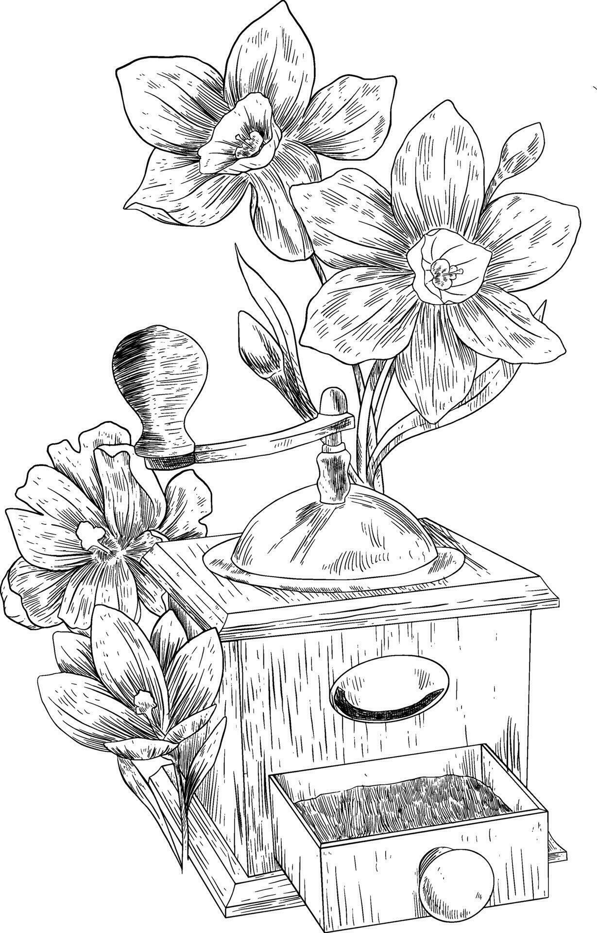 Vintage coffee grinder with flower botanical sketch hand drawn Stock Free