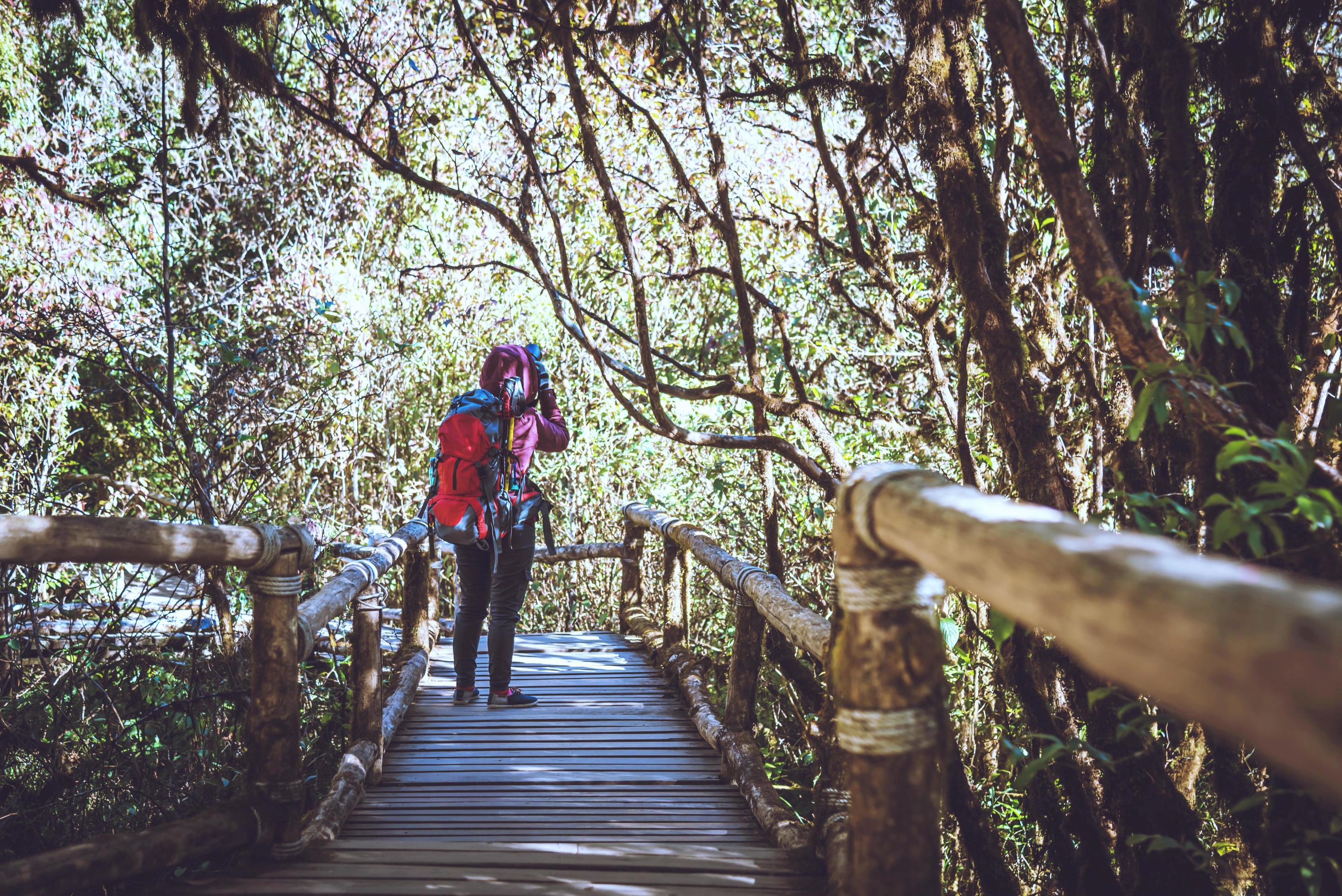 Photographer asian women travel nature. Travel relax. Nature Study in the Jungle. Thailand Stock Free