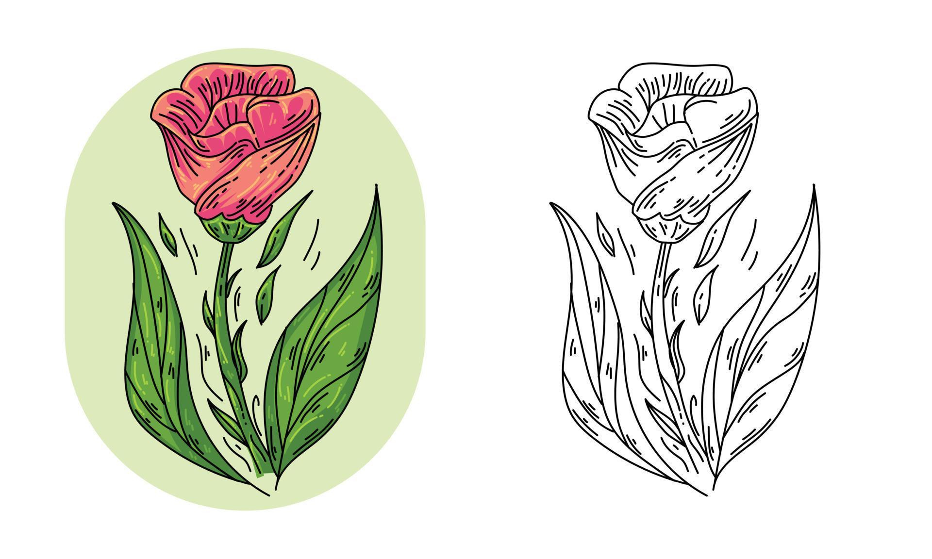 hand drawn flower nature vector Stock Free