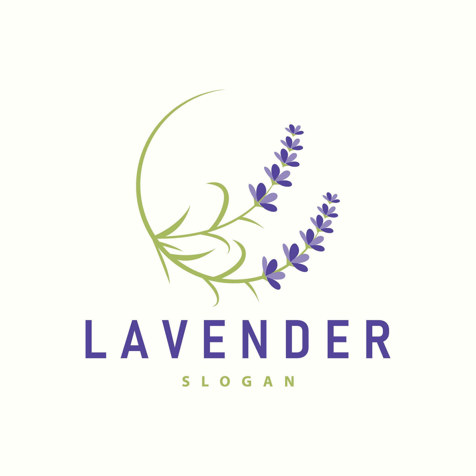 Lavender Logo Elegant Purple Flower Plant Illustration Floral Ornament Design Stock Free