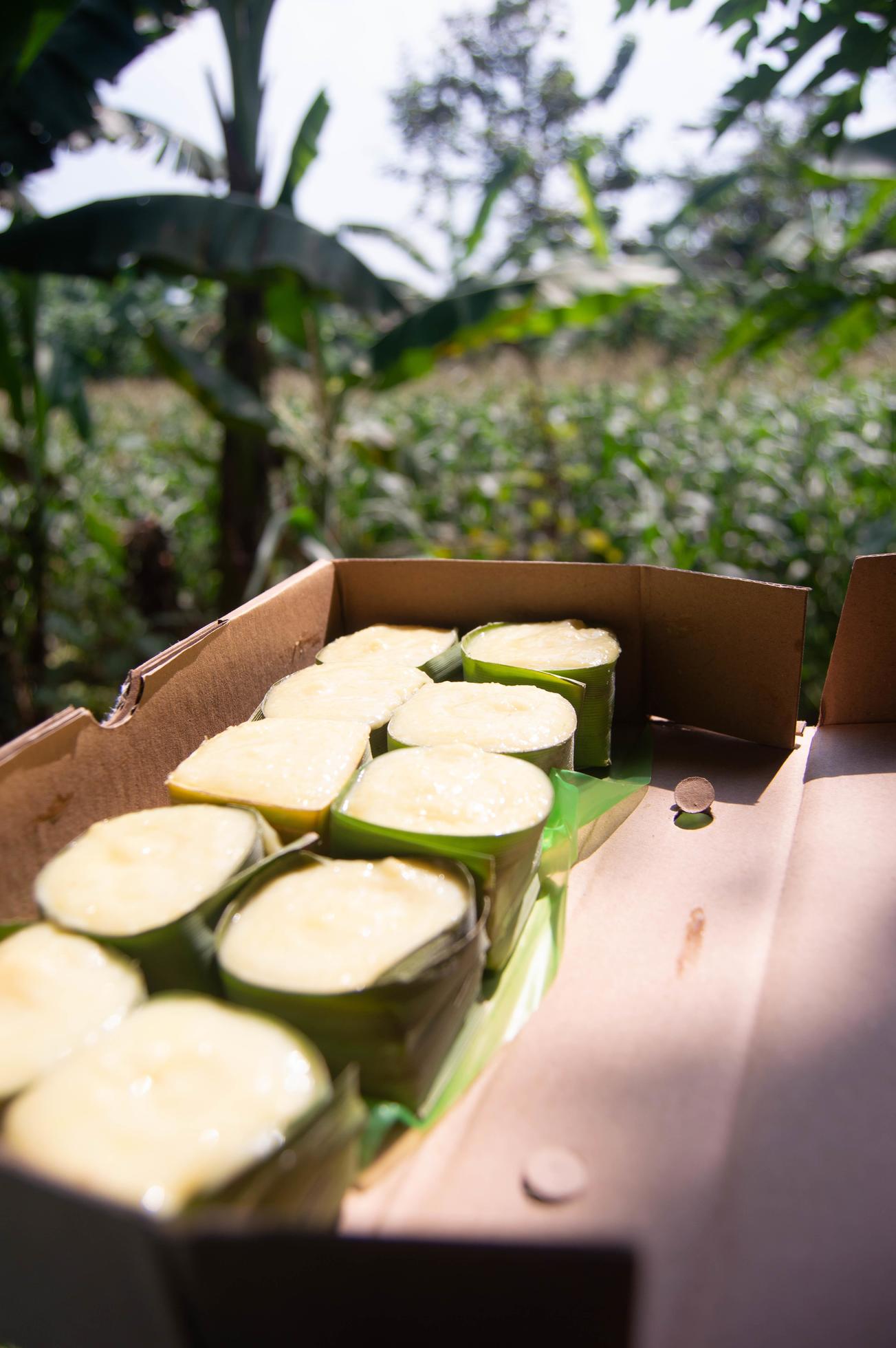 sweet snacks from sticky rice with durian topping. Indonesian traditional food. Stock Free