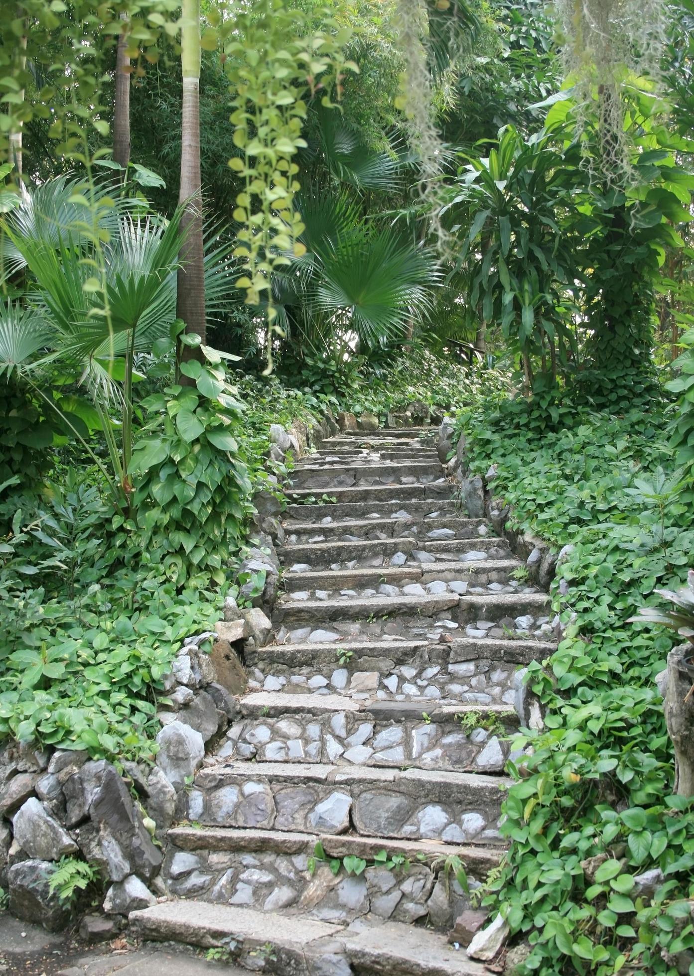 Natural stone stairs in garden Stock Free