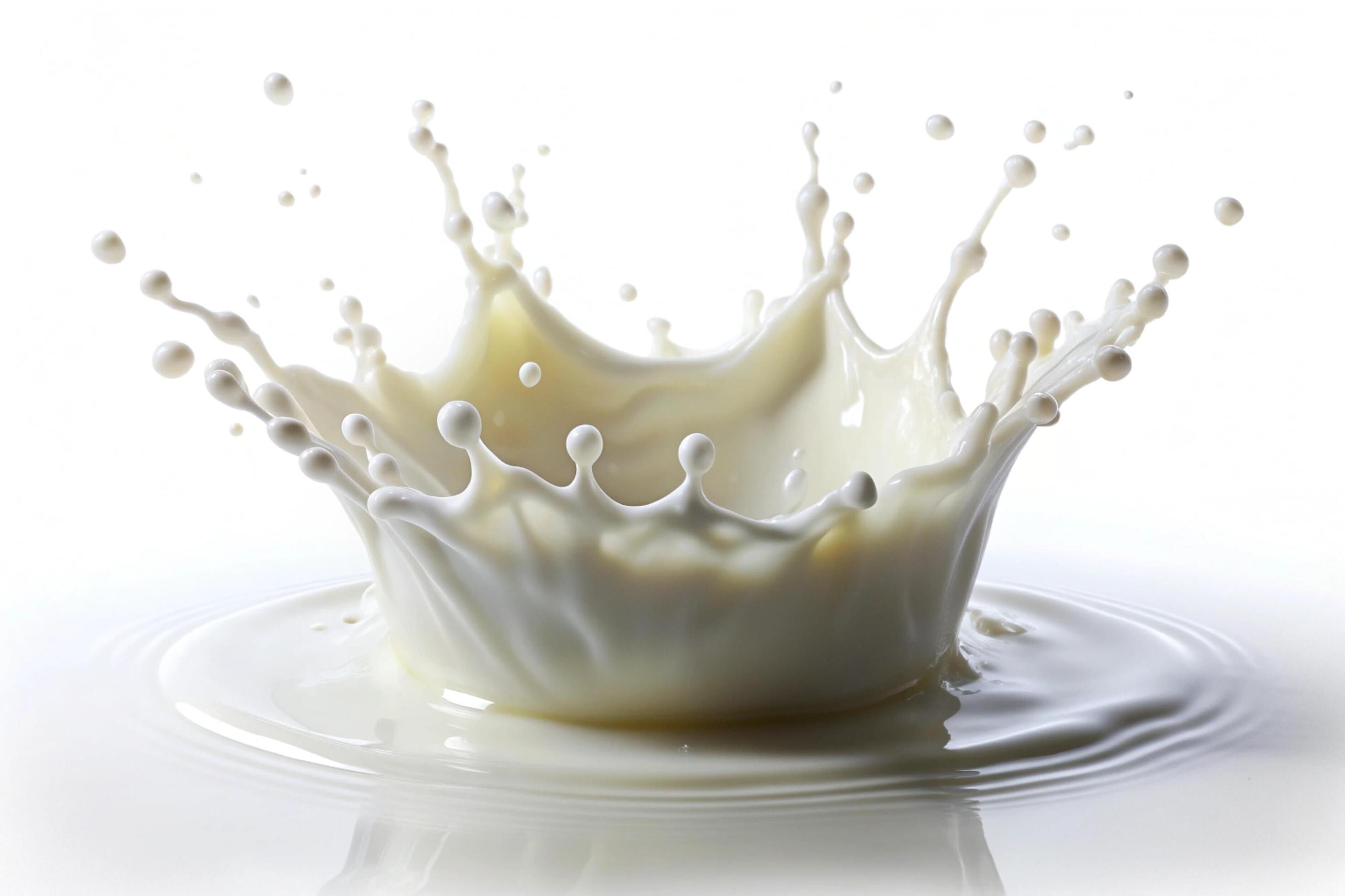 Milk splashes on white background Stock Free