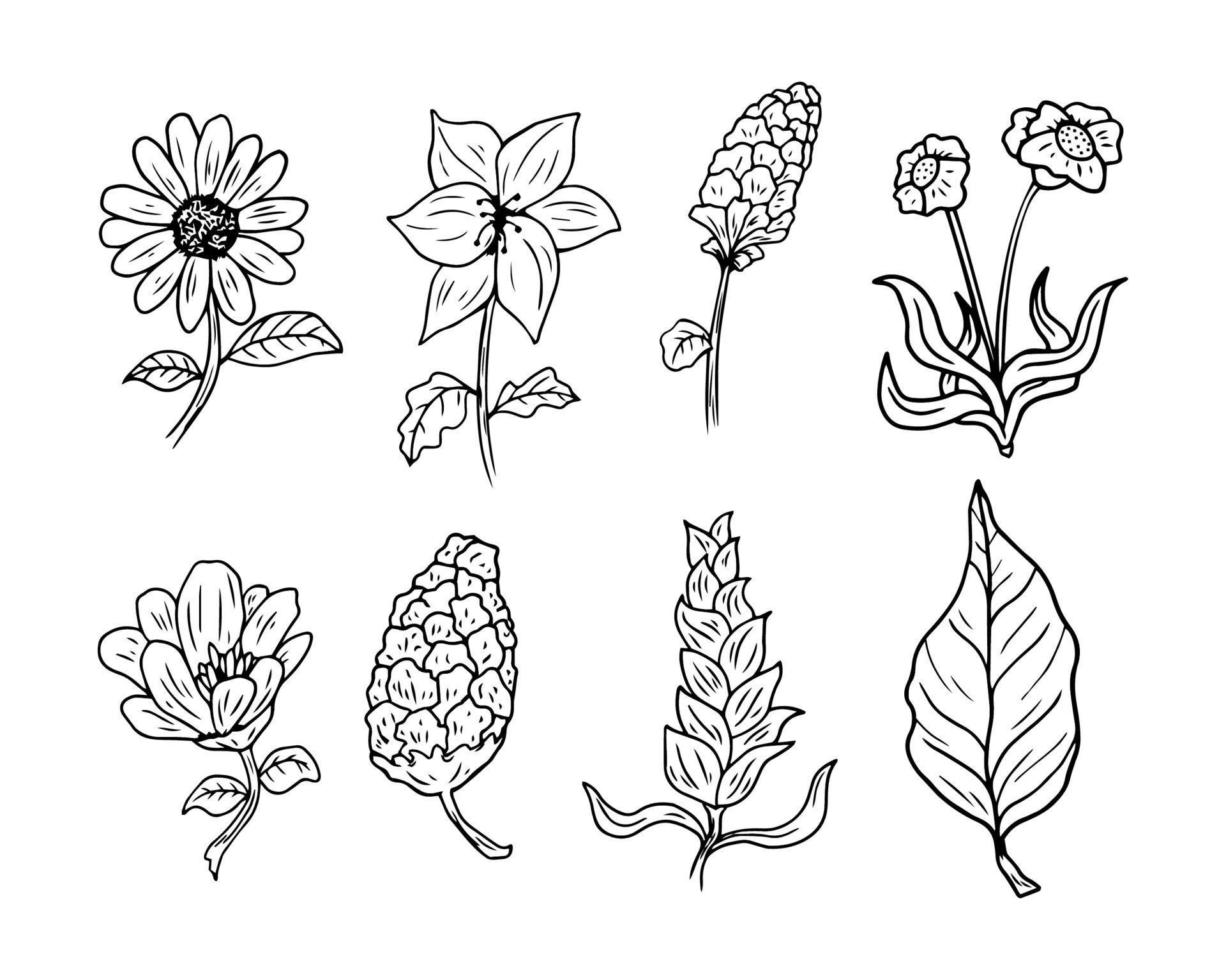 Flowers Design Asset Vector Stock Free